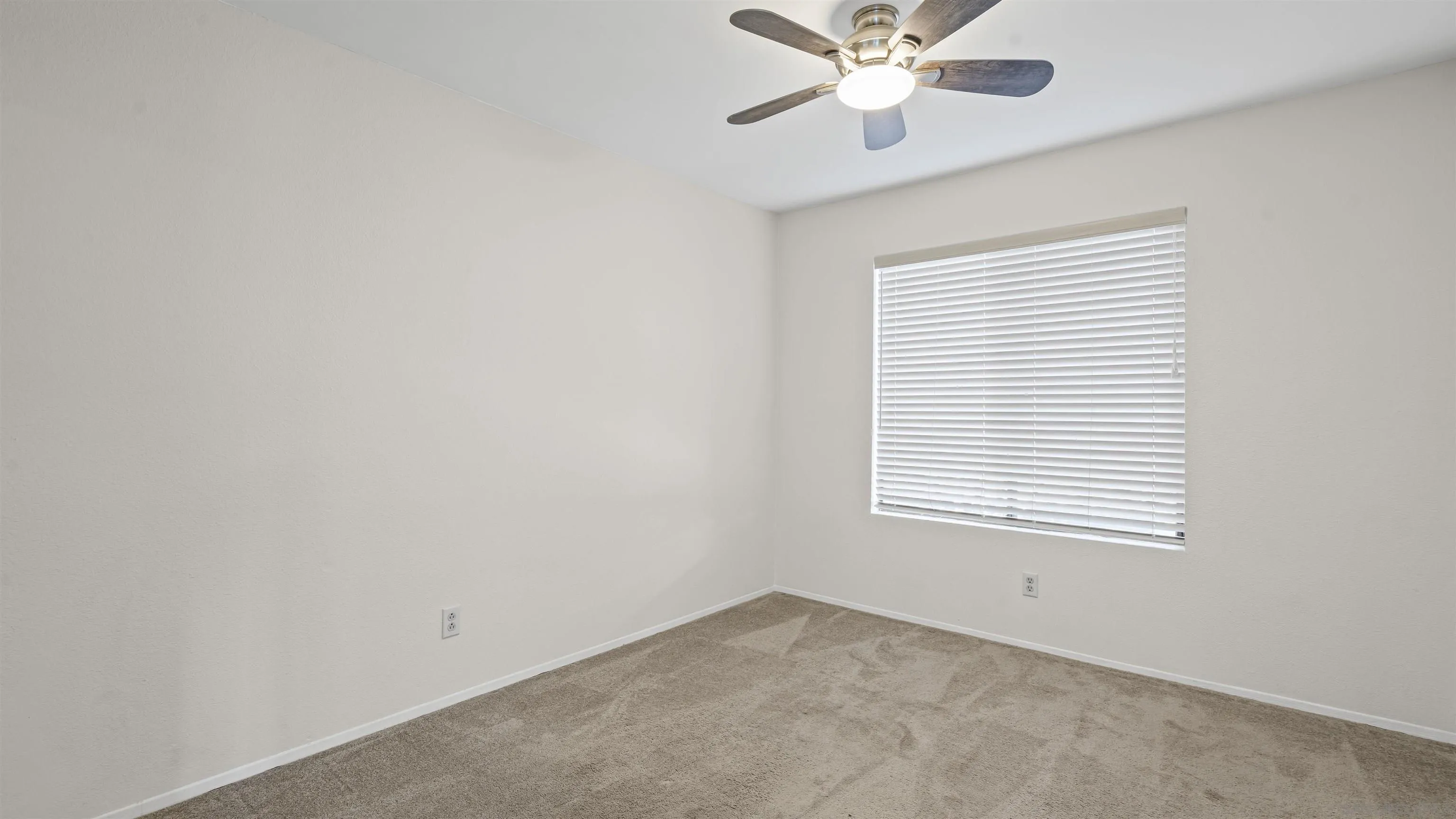 Photo #20: 250043582 Listing: Photo #20