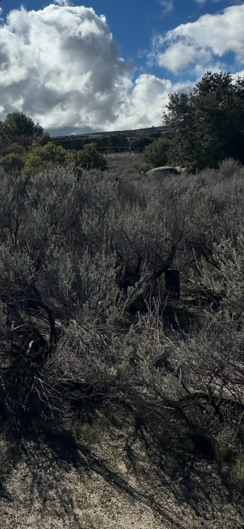 2885 Ribbonwood Rd Unit 5, Boulevard, CA 91905 - Photo 4 of 7, Boulevard, CA