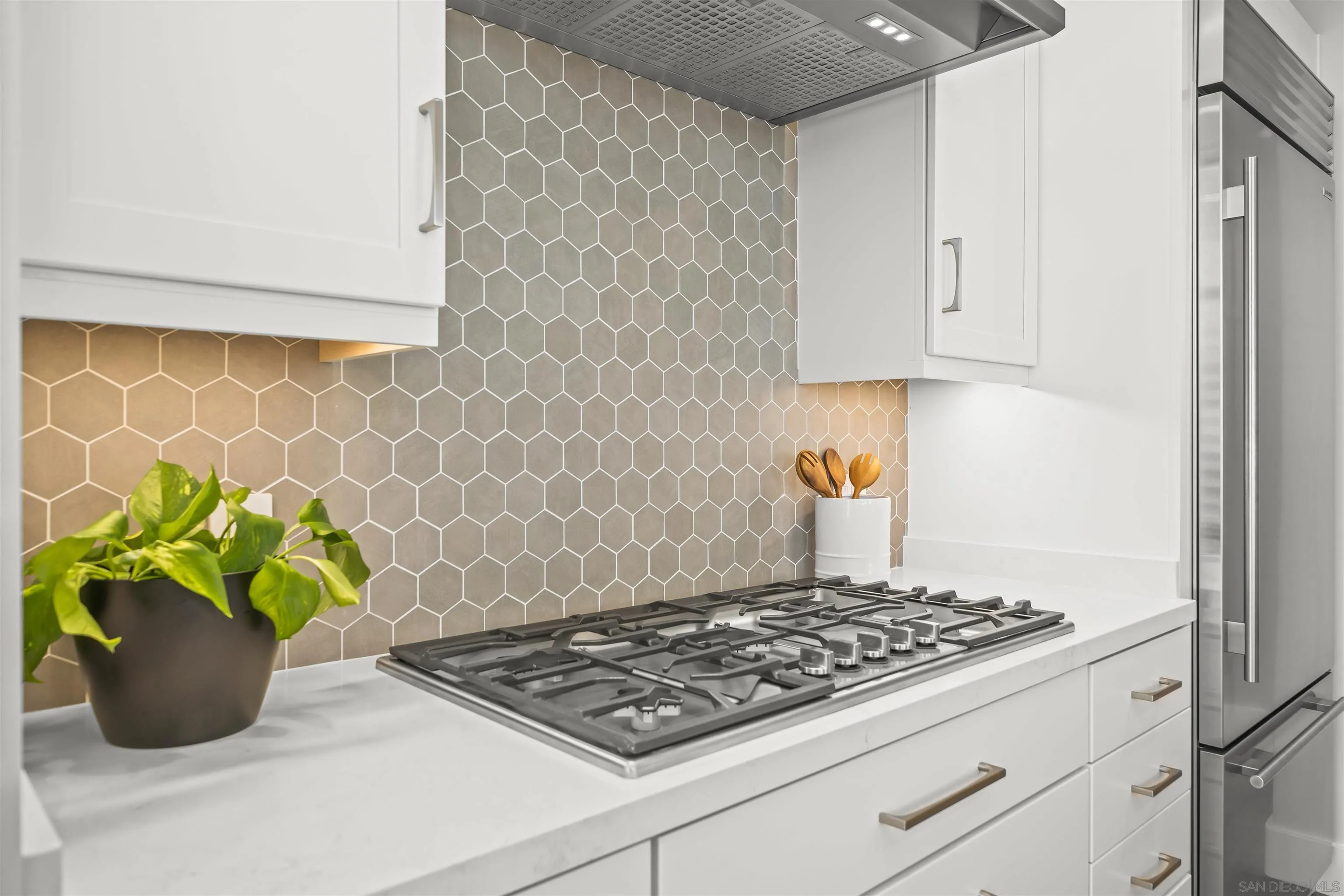 Photo #30: 250043868 Listing: Photo #30