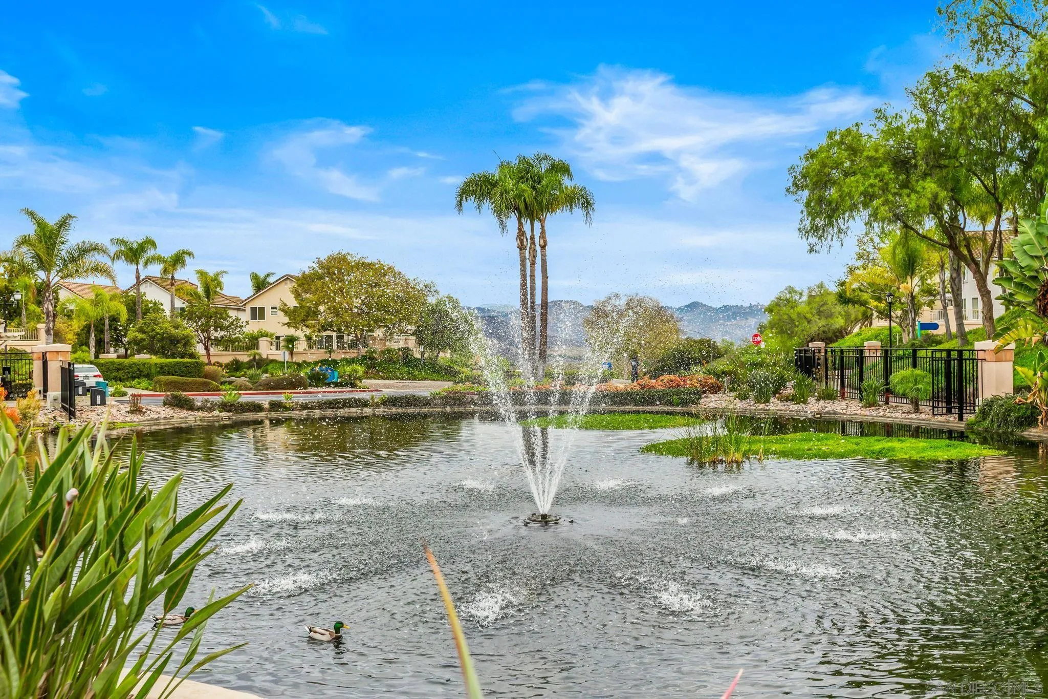 Photo #28: 250044184 Listing: Photo #28