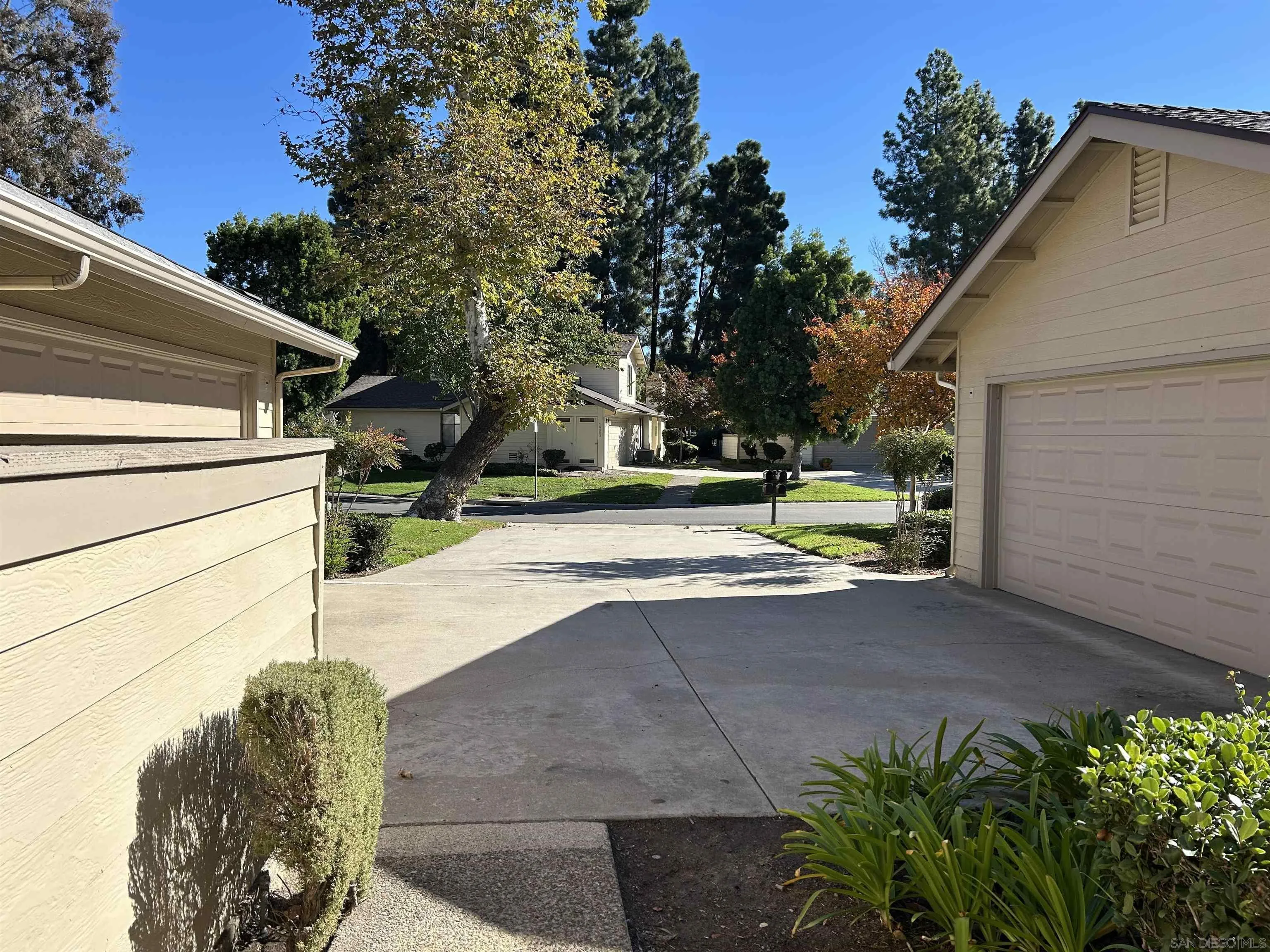 Photo #3: 250044361 Listing: Photo #3