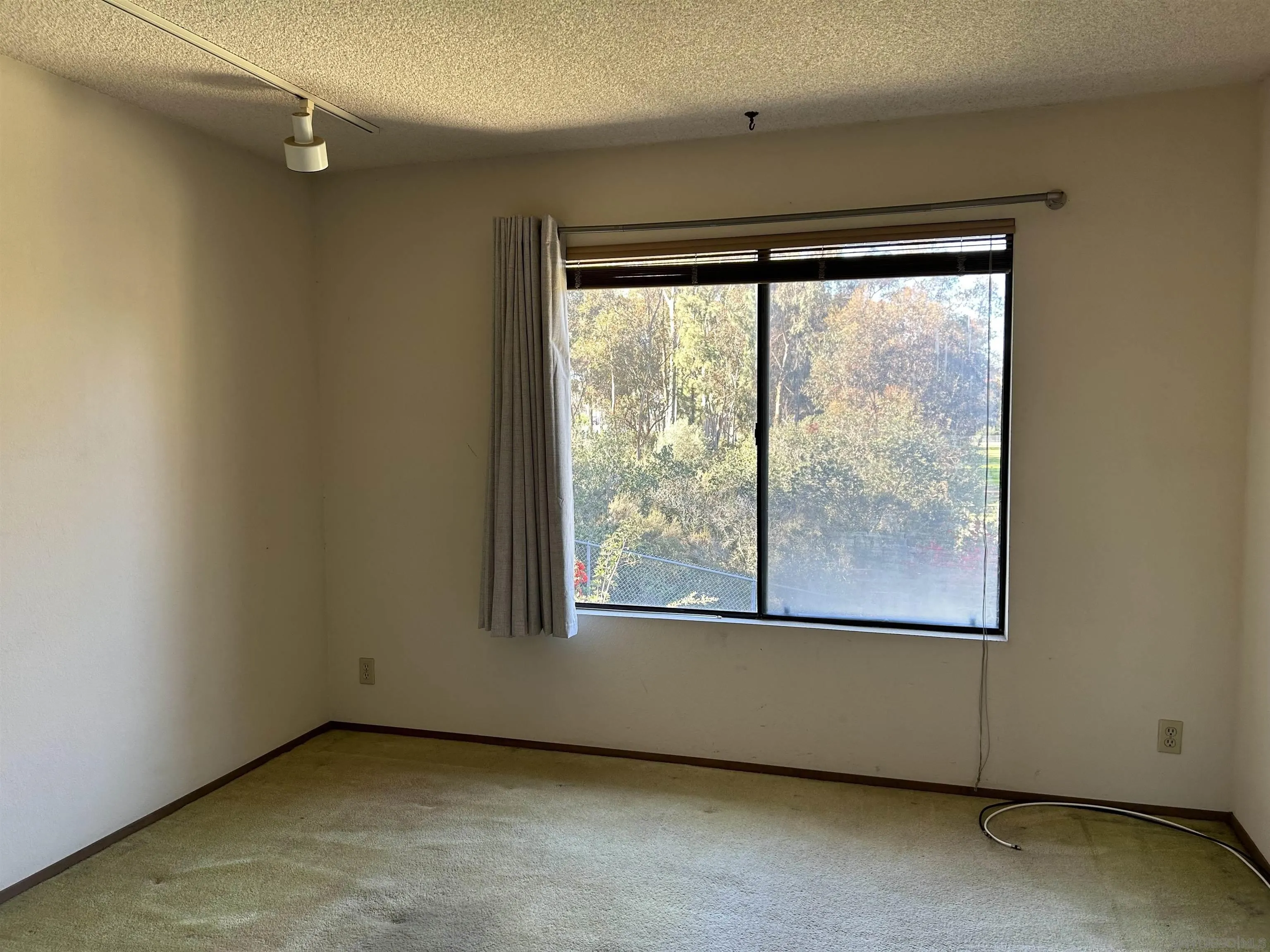 Photo #13: 250044361 Listing: Photo #13