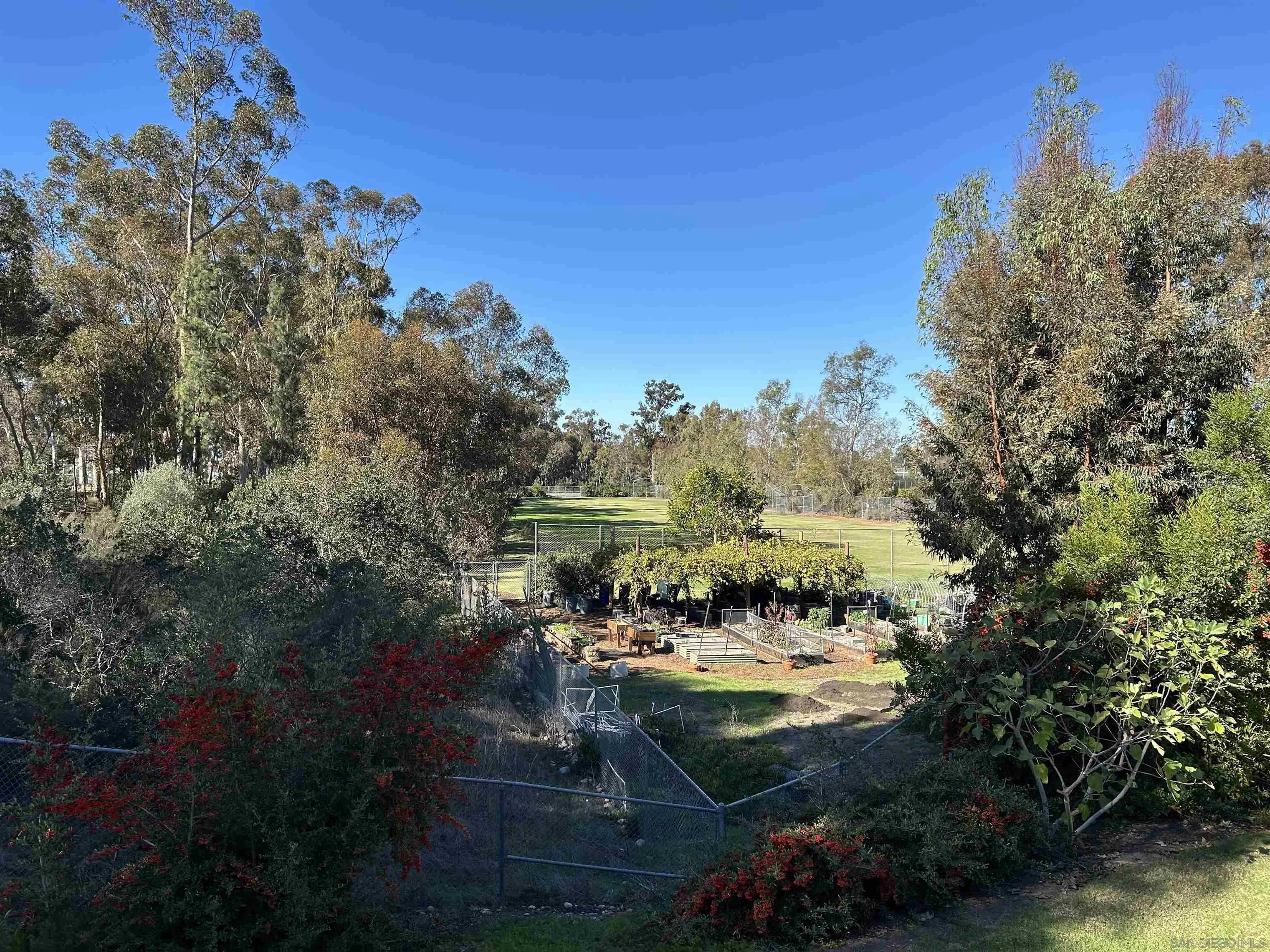 Photo #14: 250044361 Listing: Photo #14