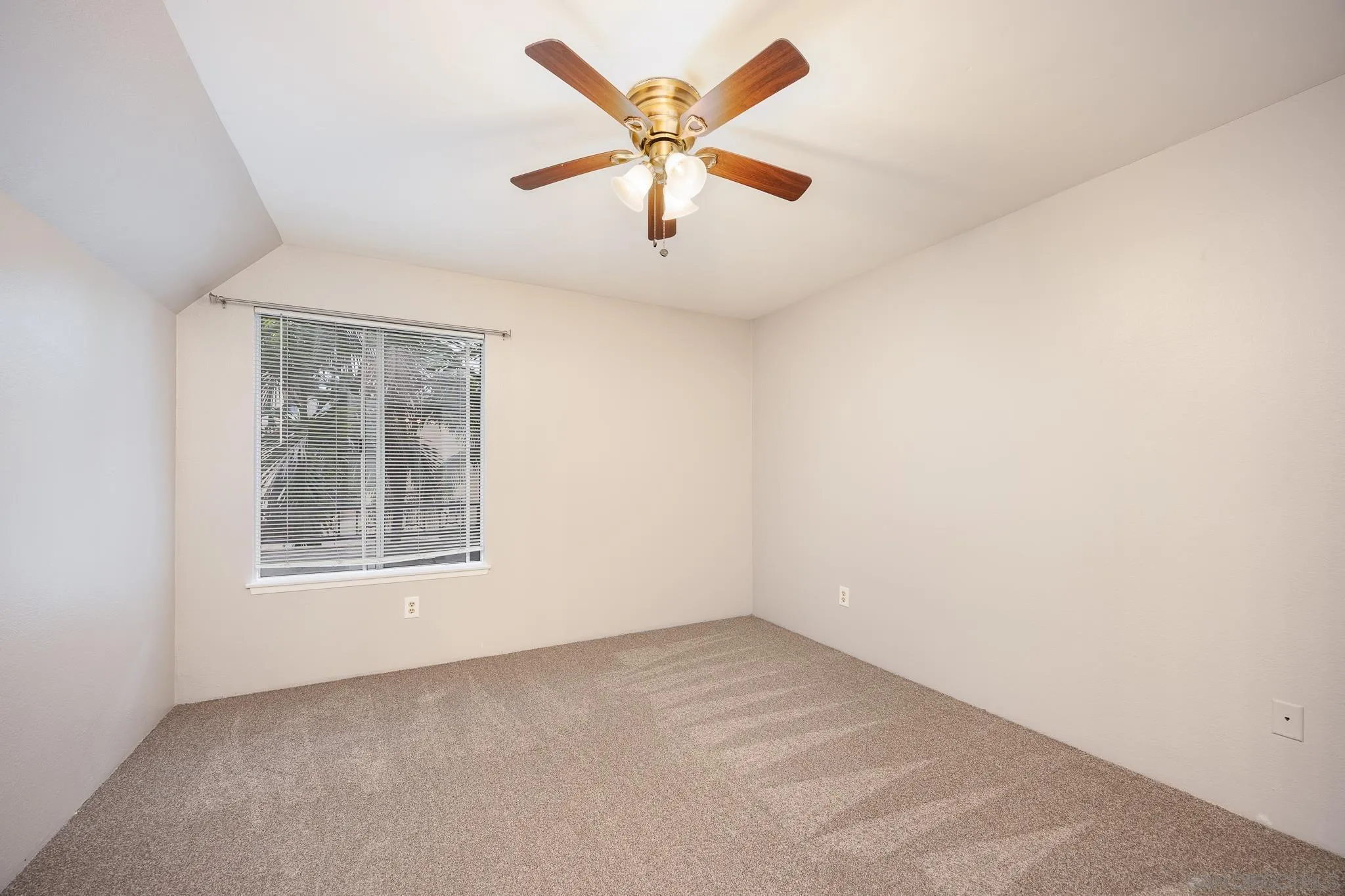 Photo #8: 250044489 Listing: Photo #8