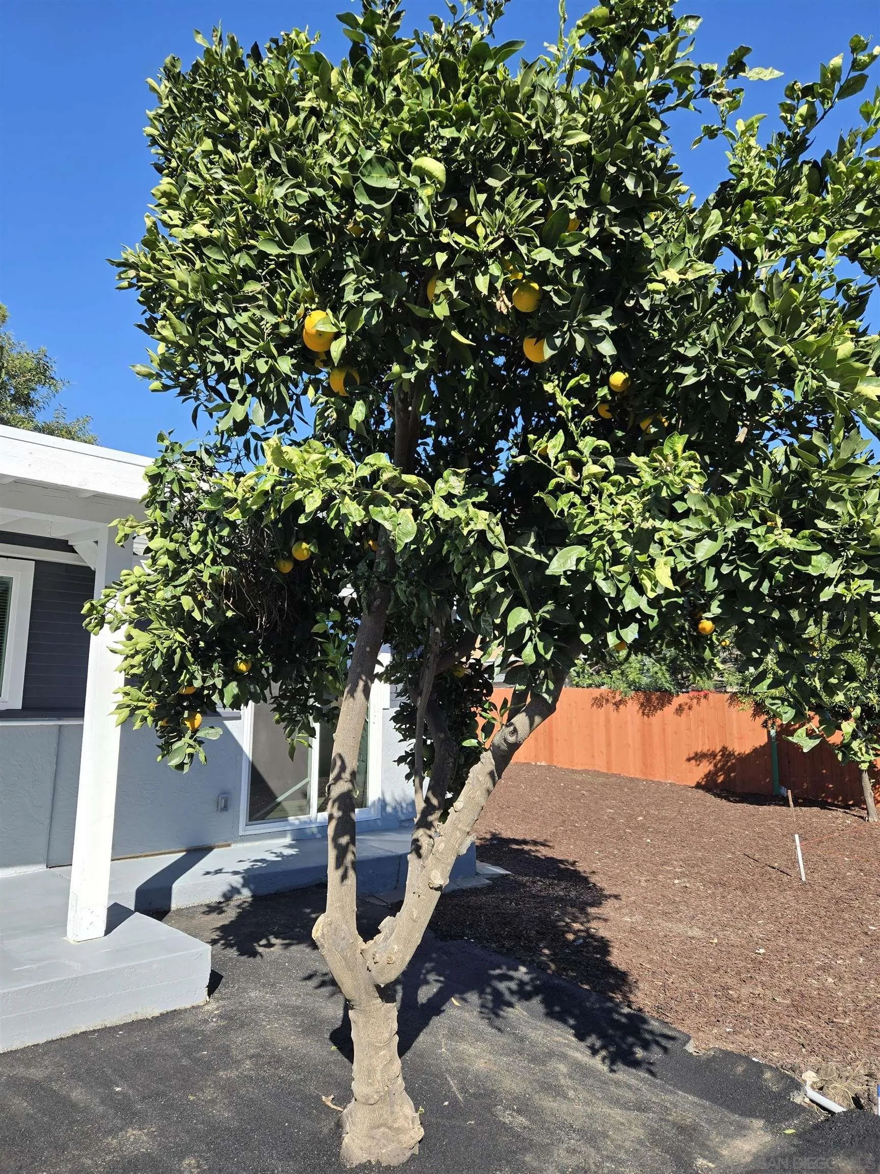 https://cdn.realtyfeed.com/cdn/127/250044706/1b3d53fc12c02037bb791254e44f937a.webp