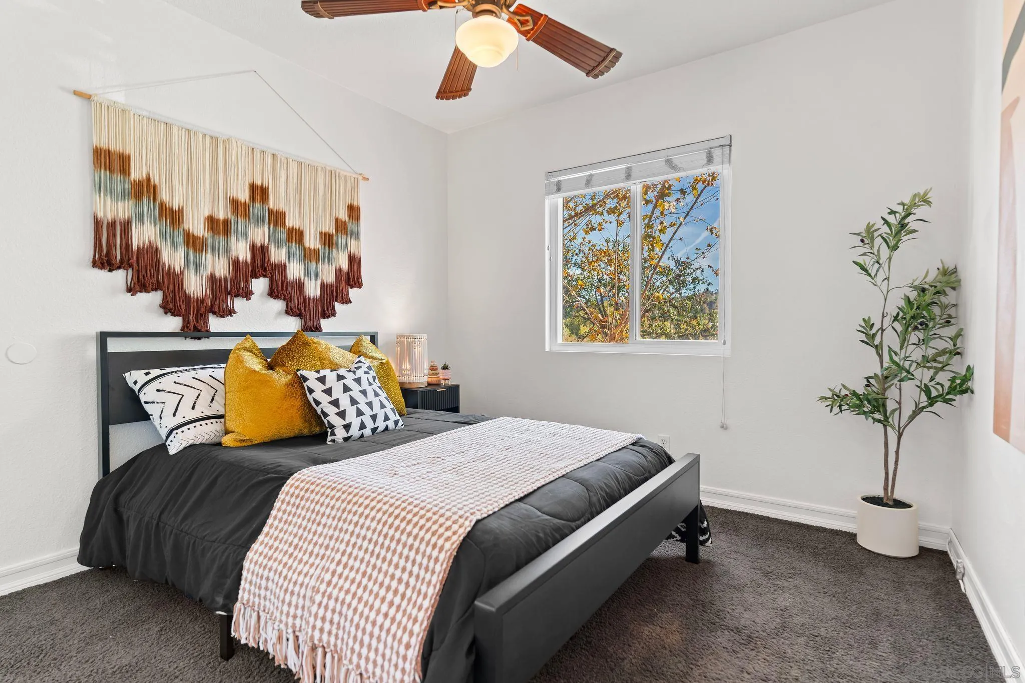 Photo #16: 250044752 Listing: Photo #16