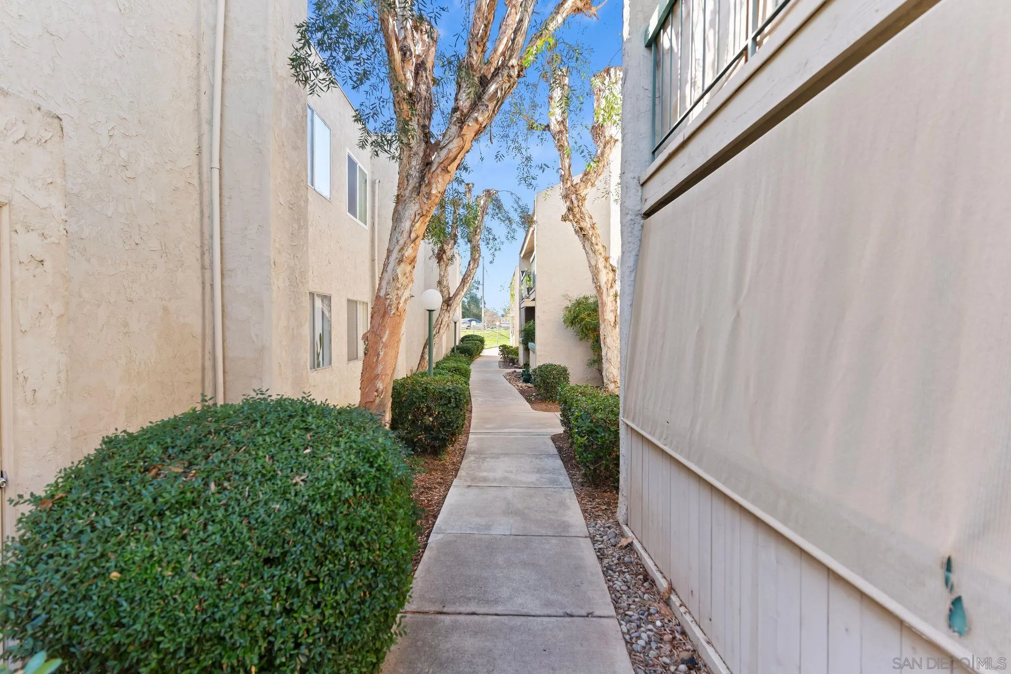 Photo #20: 250044752 Listing: Photo #20