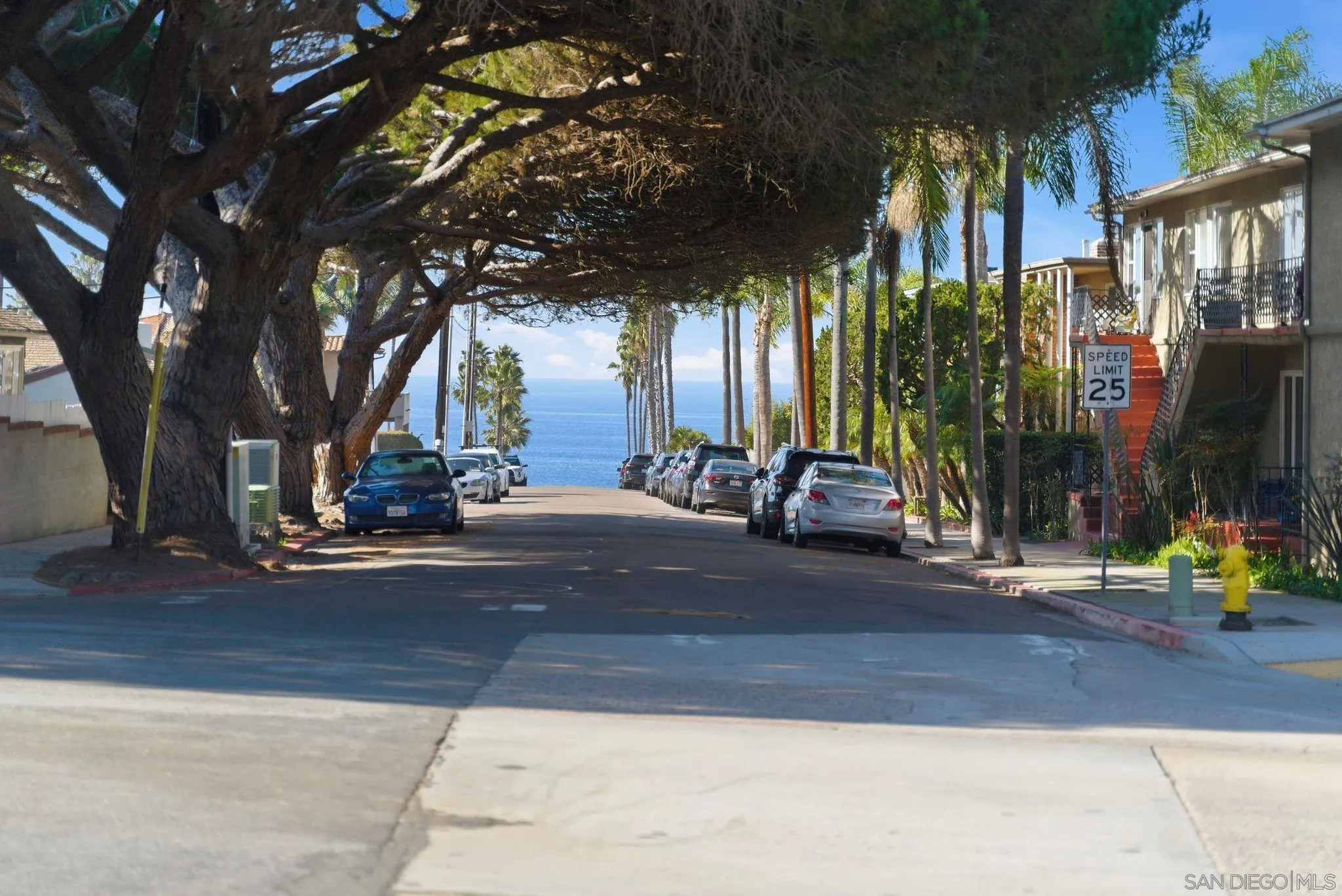 Photo #19: 250044811 Listing: Photo #19