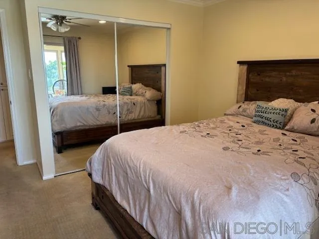 Photo #24: 250044818 Listing: Photo #24