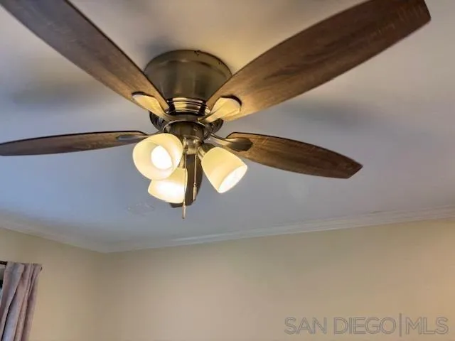 Photo #5: 250044818 Listing: Photo #5