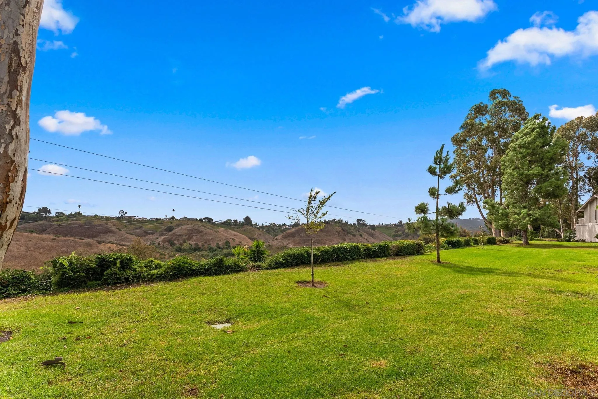 Photo #29: 250044864 Listing: Photo #29