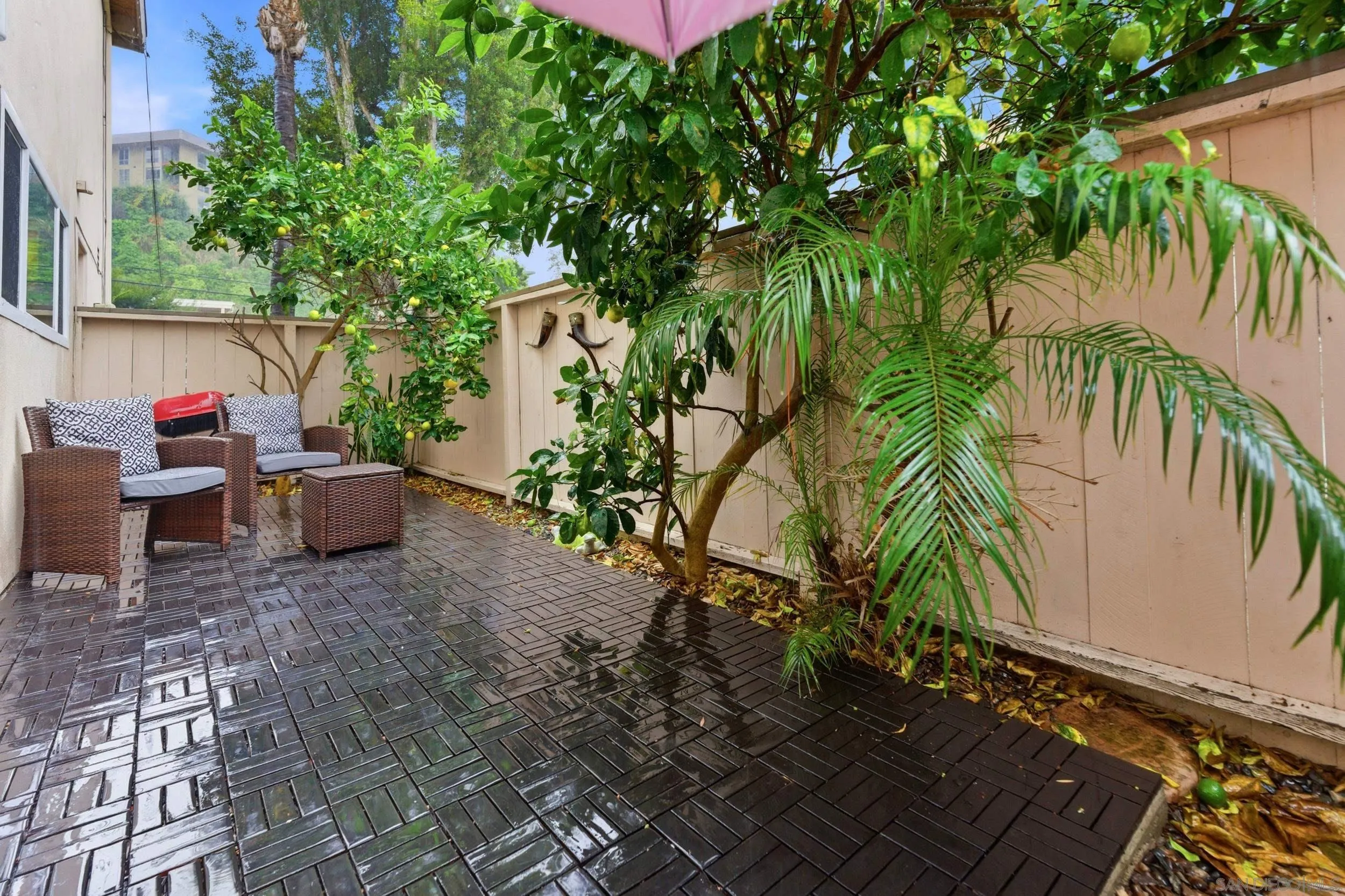 Photo #25: 250044868 Listing: Photo #25