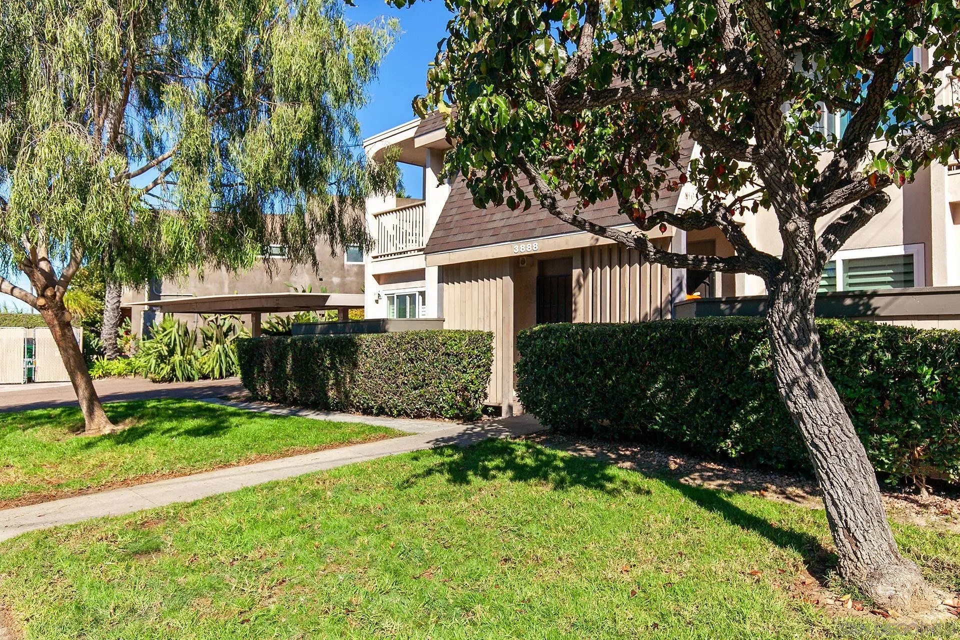 Photo #33: 250044900 Listing: Photo #33