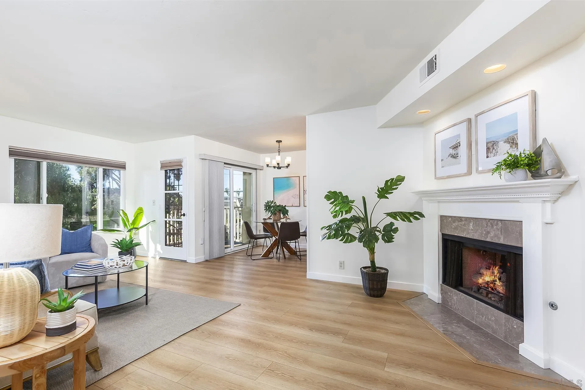 Photo #5: 250044900 Listing: Photo #5