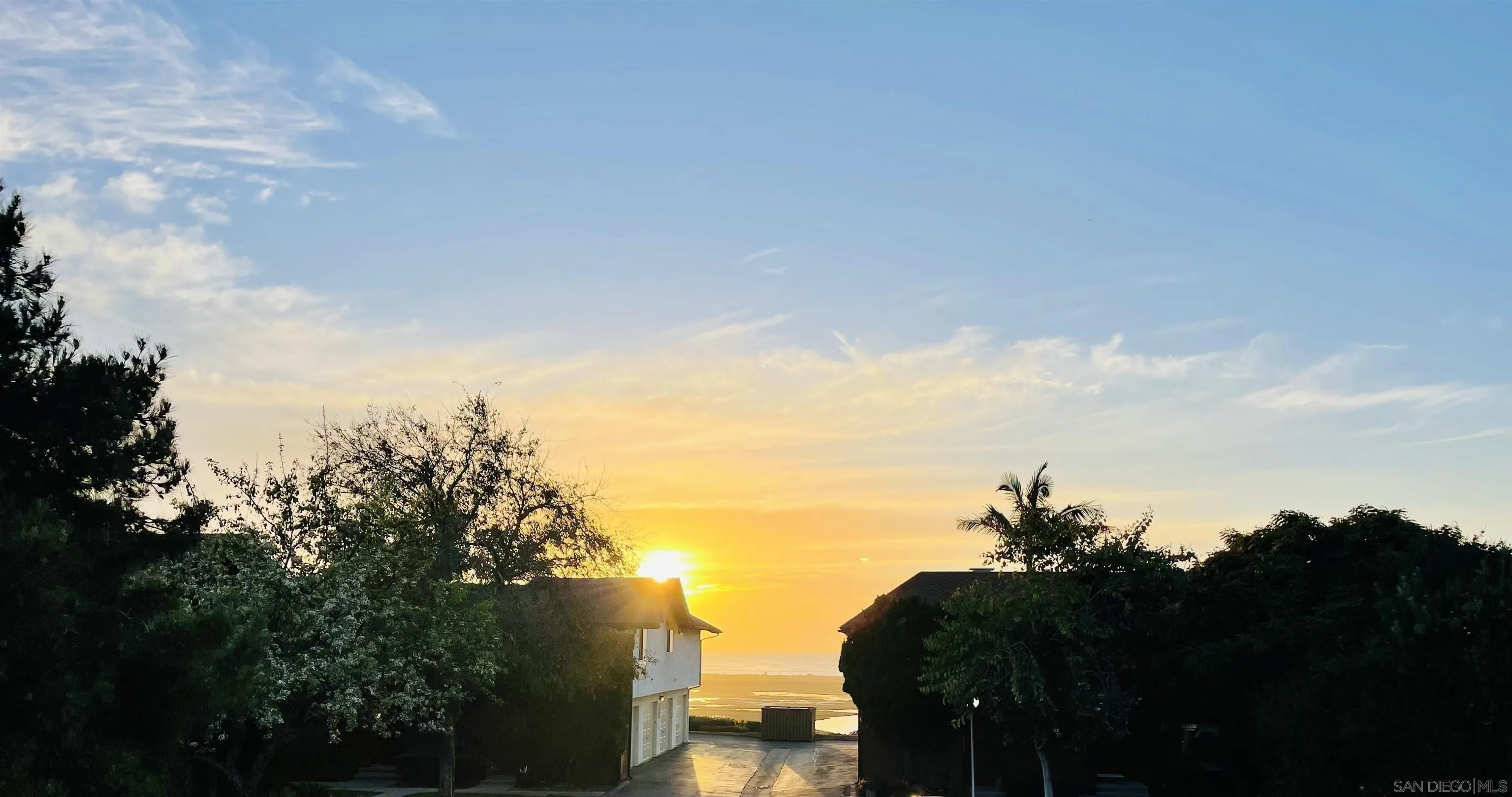 Photo #39: 250044929 Listing: Photo #39