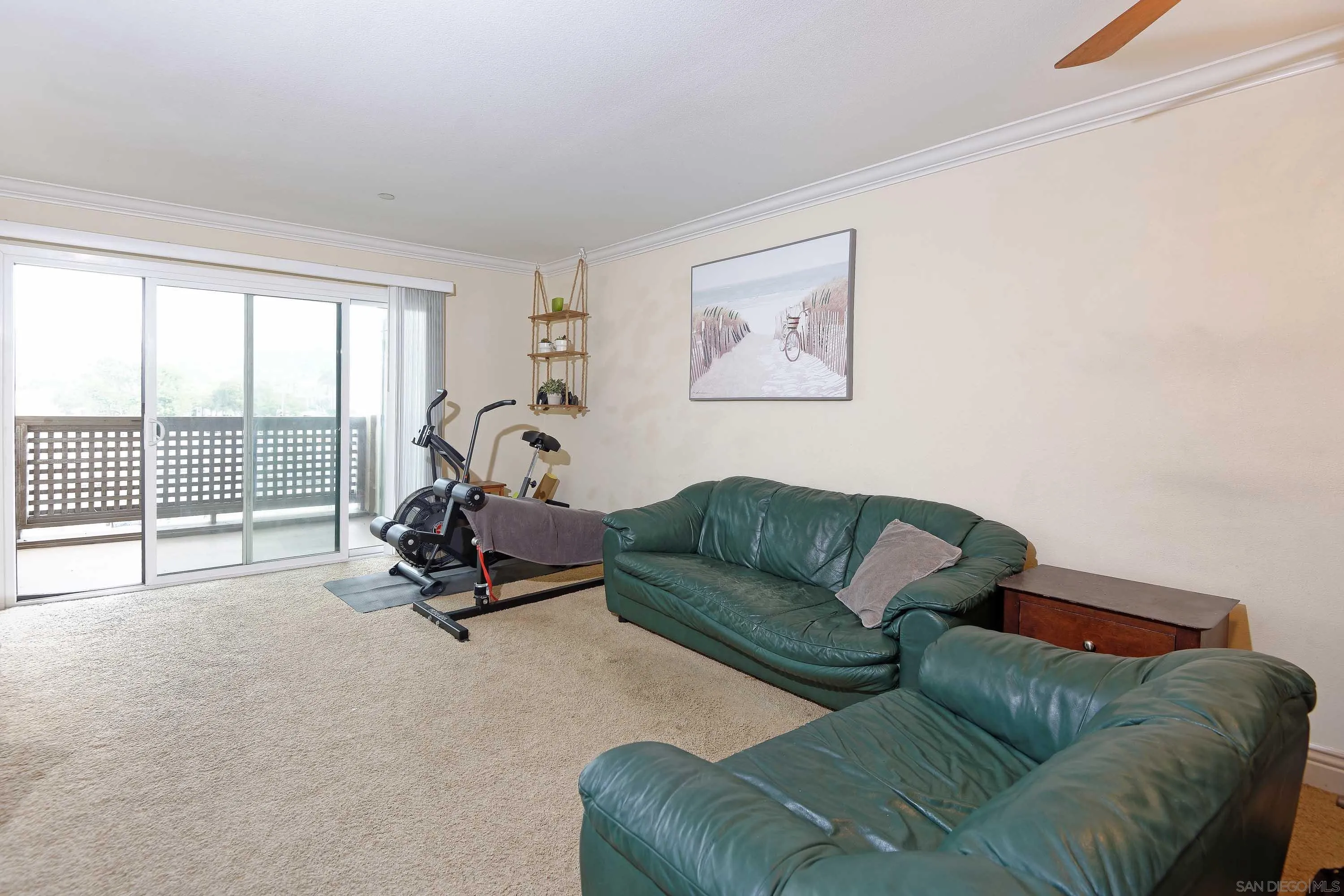 Photo #5: 250044985 Listing: Photo #5