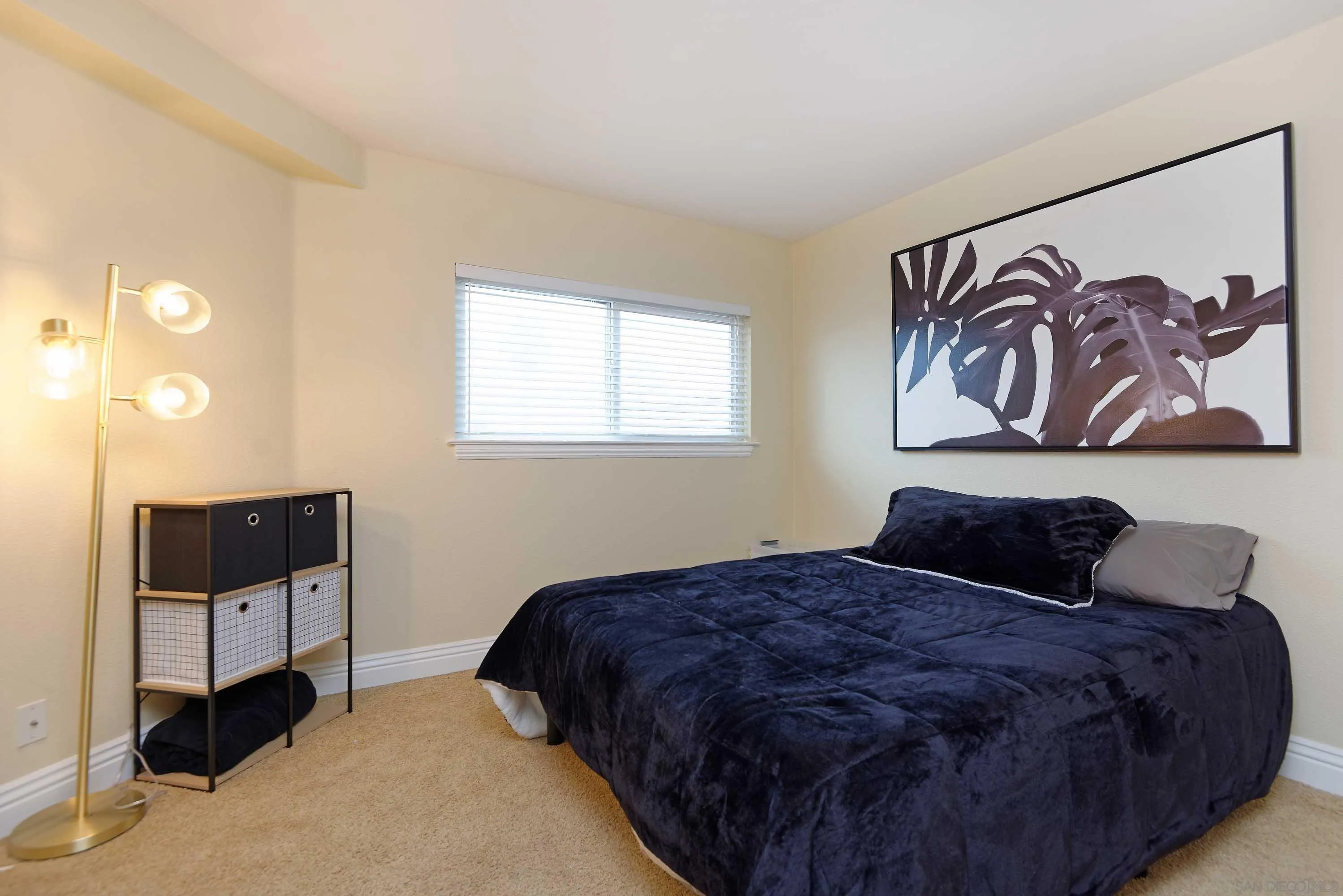 Photo #12: 250044985 Listing: Photo #12