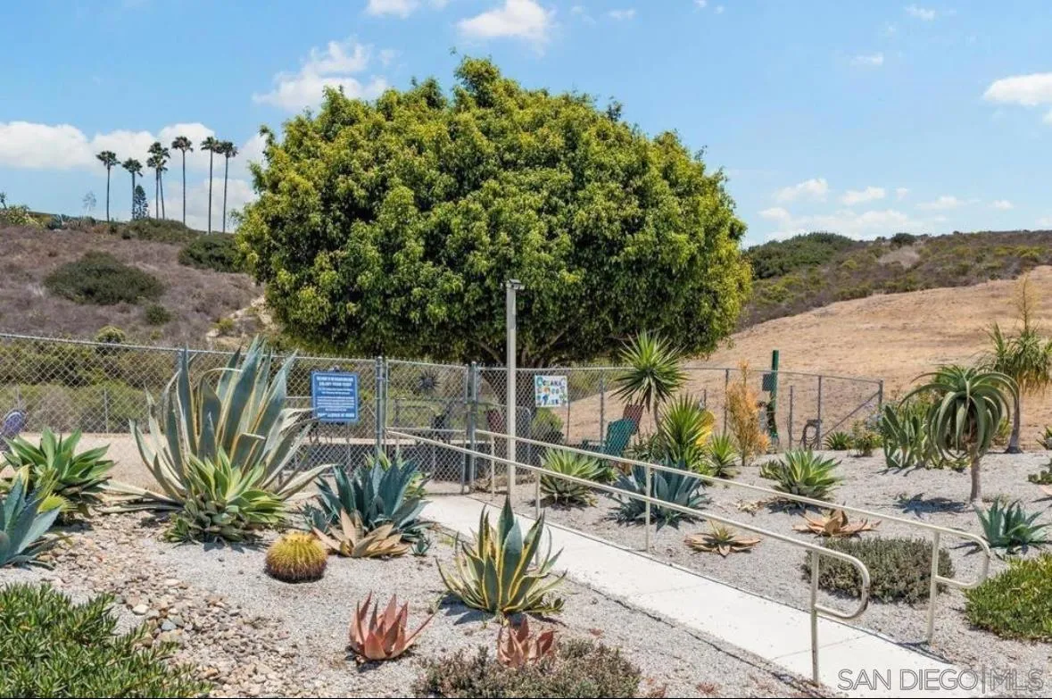 Photo #3: 250044986 Listing: Photo #3