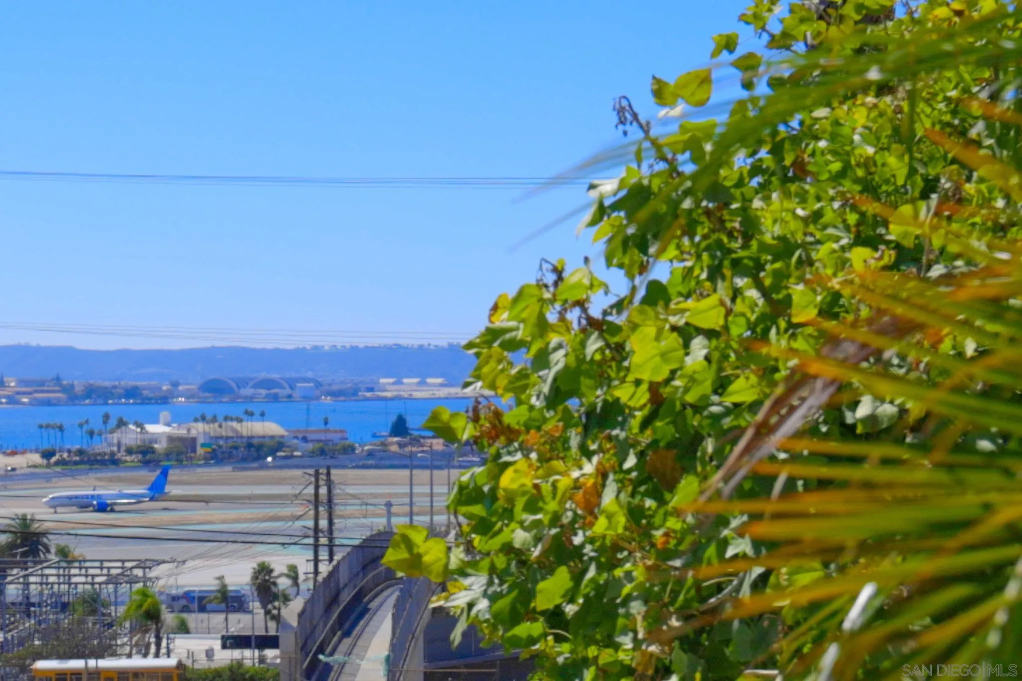 Photo #4: 250044998 Listing: Photo #4