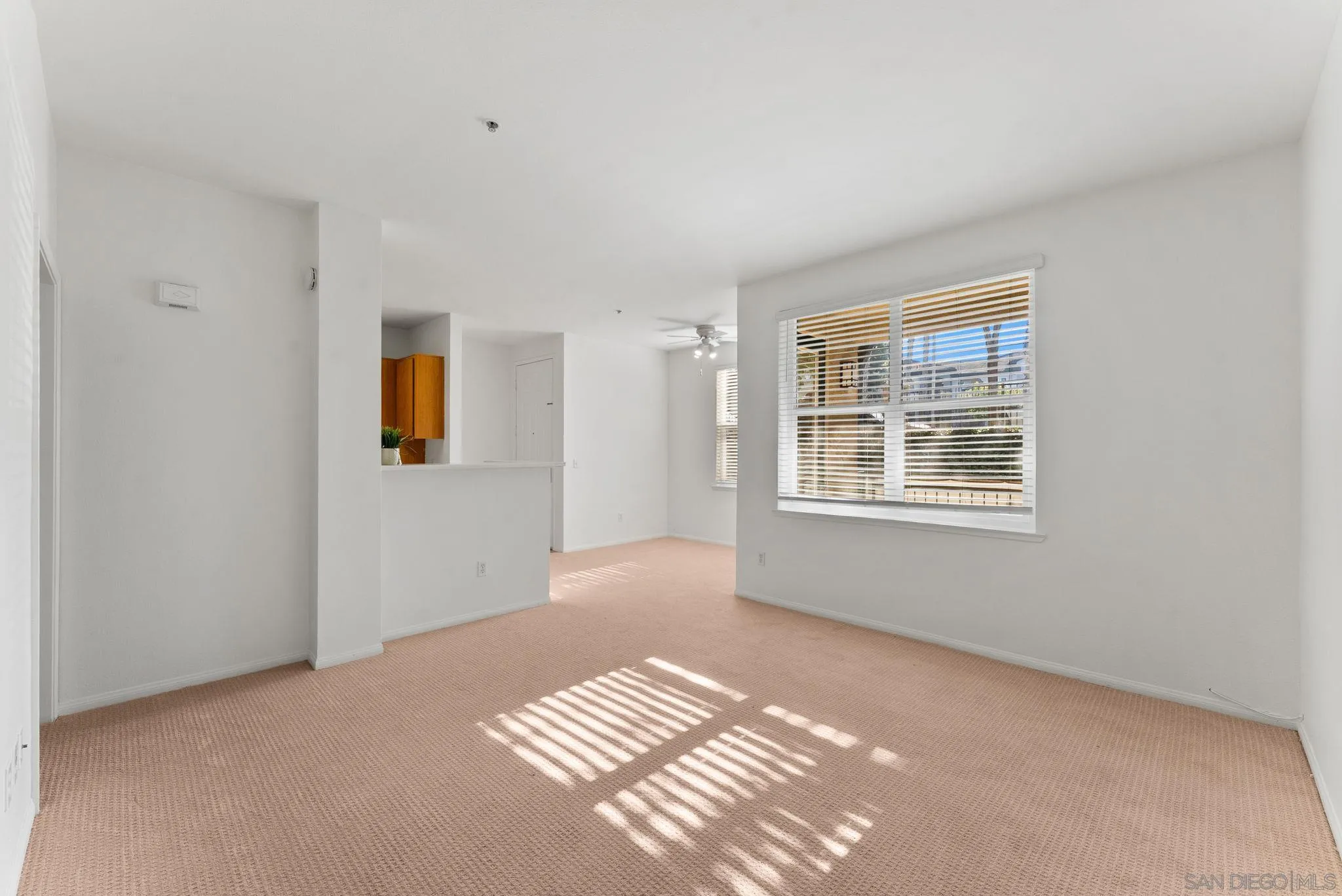 Photo #16: 250045072 Listing: Photo #16