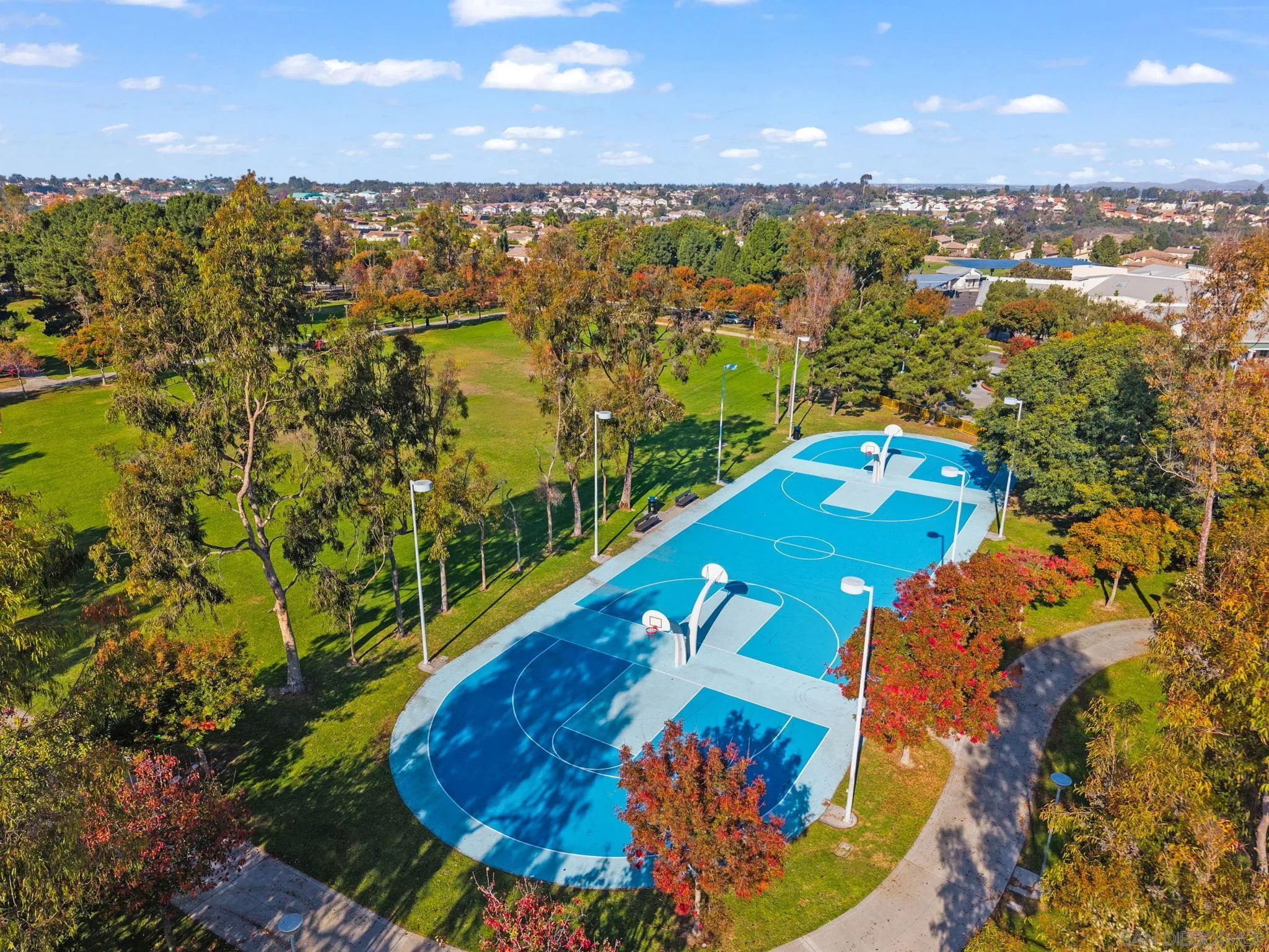 Photo #32: 250045072 Listing: Photo #32