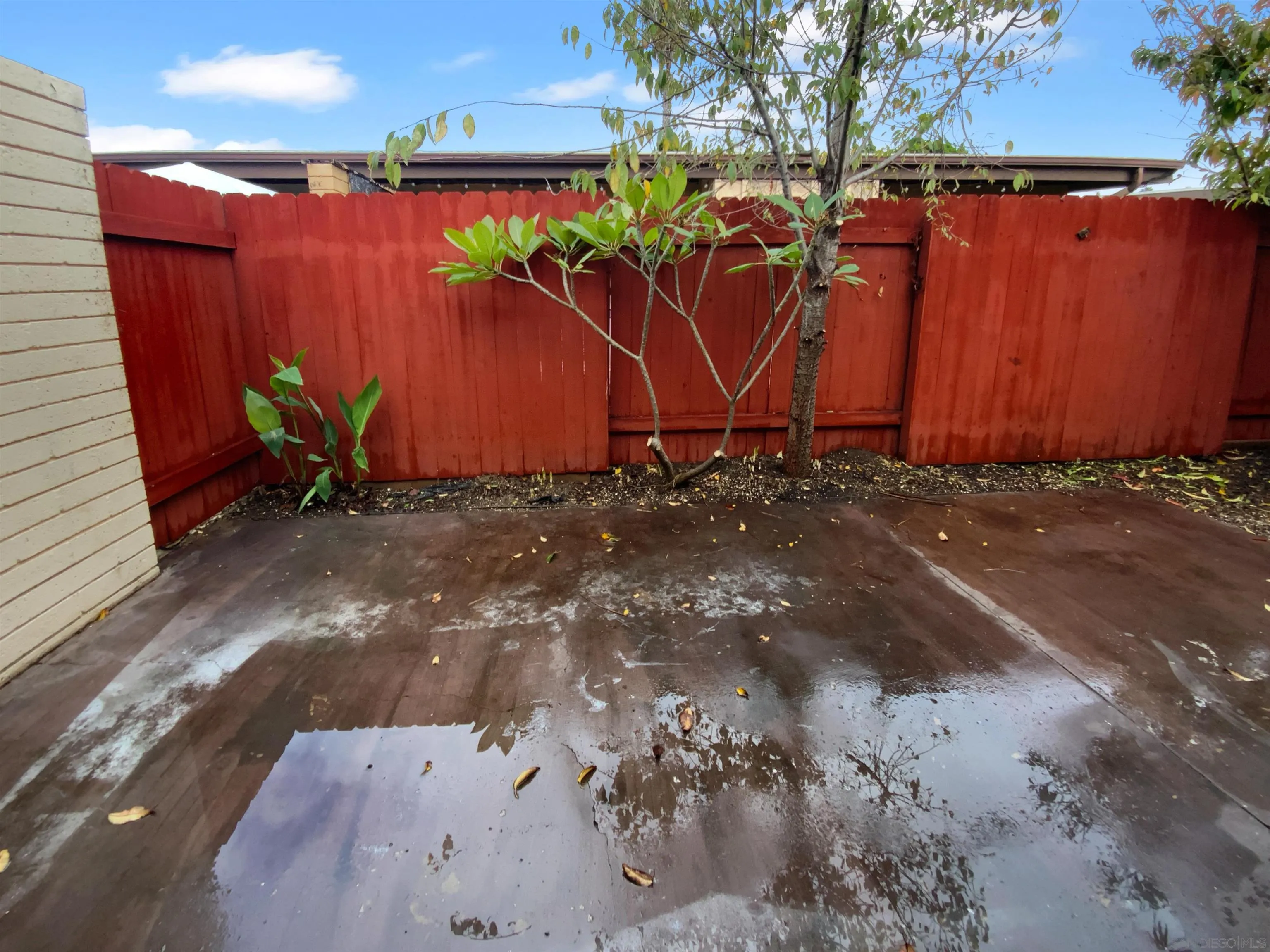 Photo #17: 250045094 Listing: Photo #17