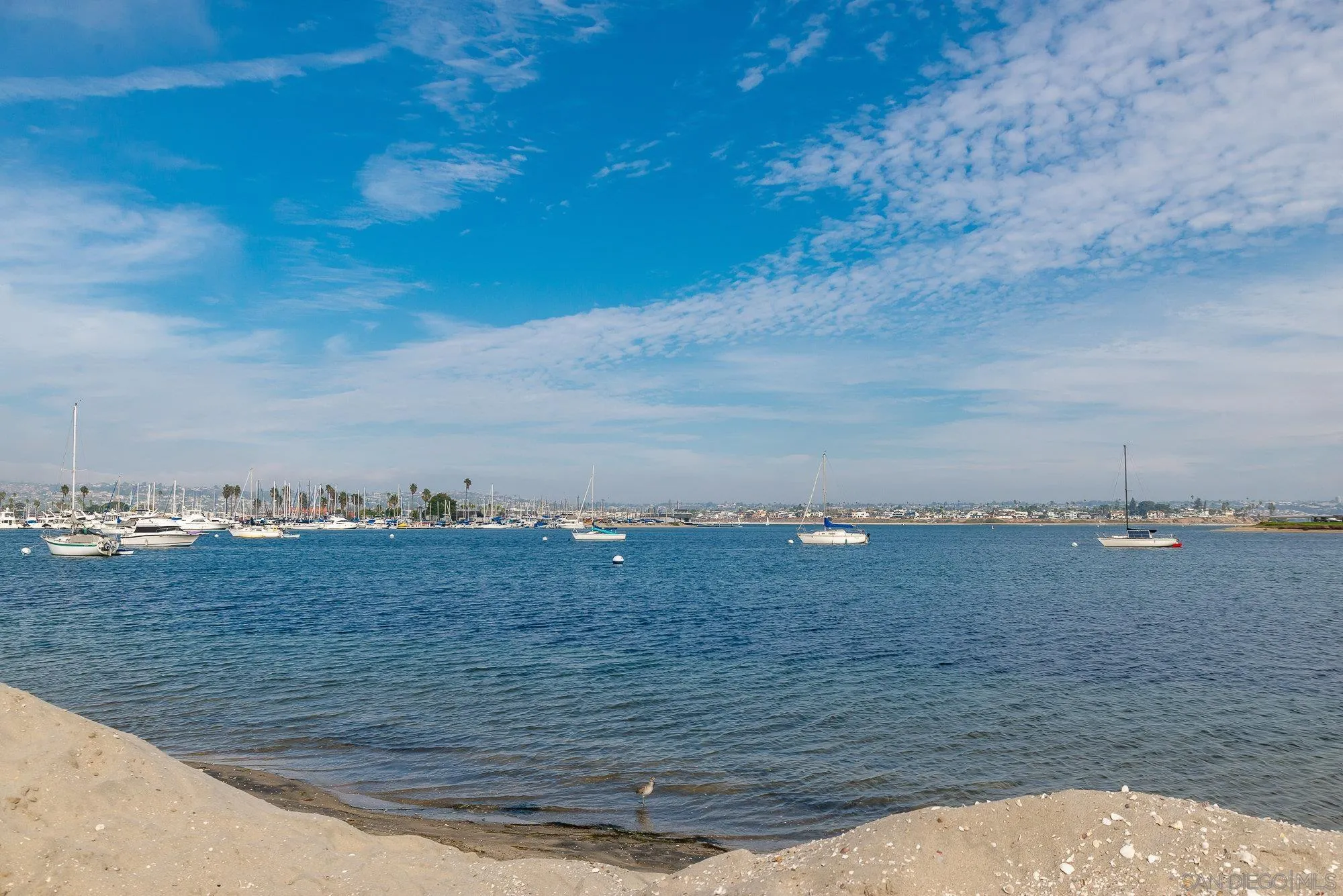 Photo #44: 250045108 Listing: Photo #44