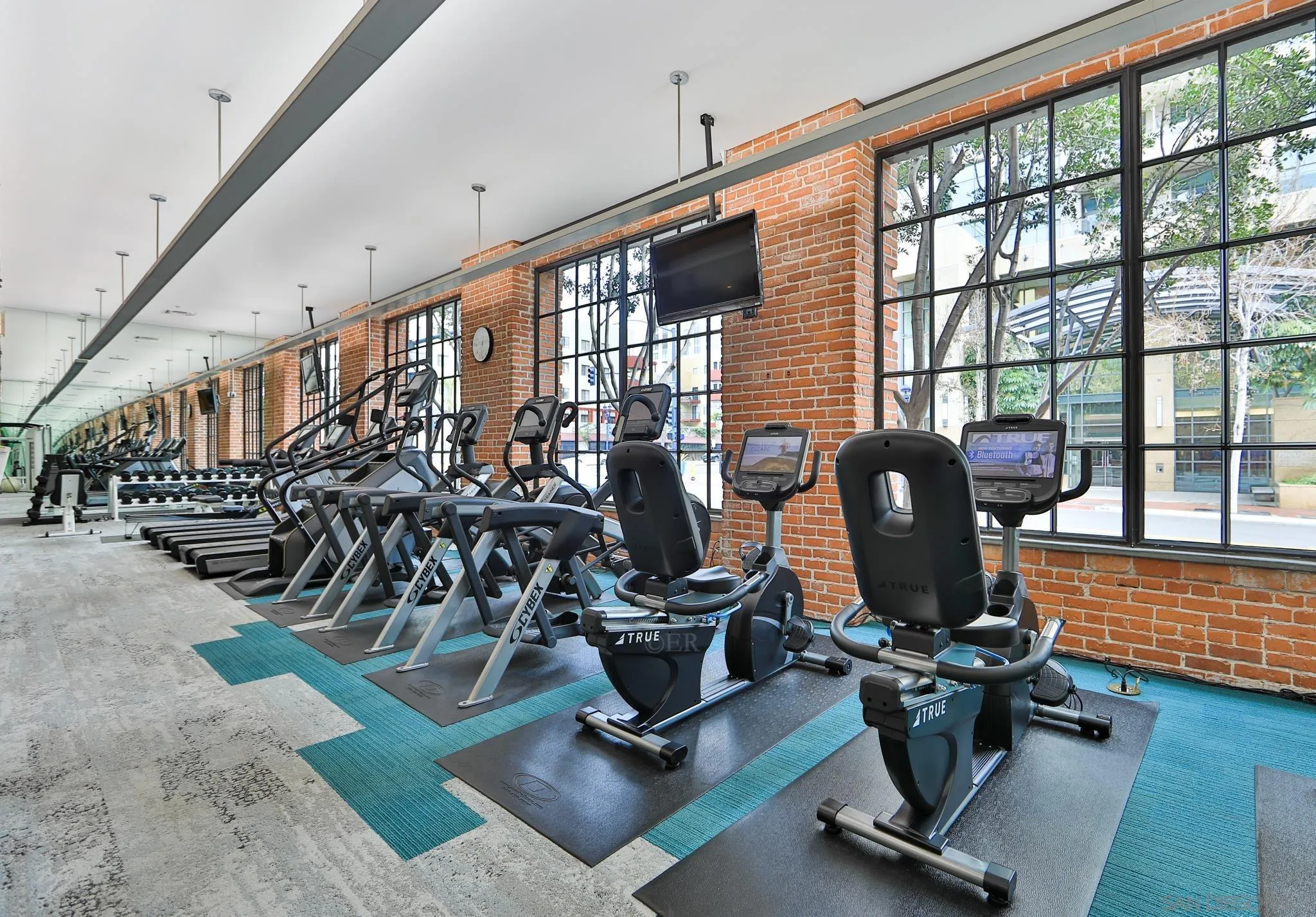 Photo #70: 250045283 Listing: Photo #70