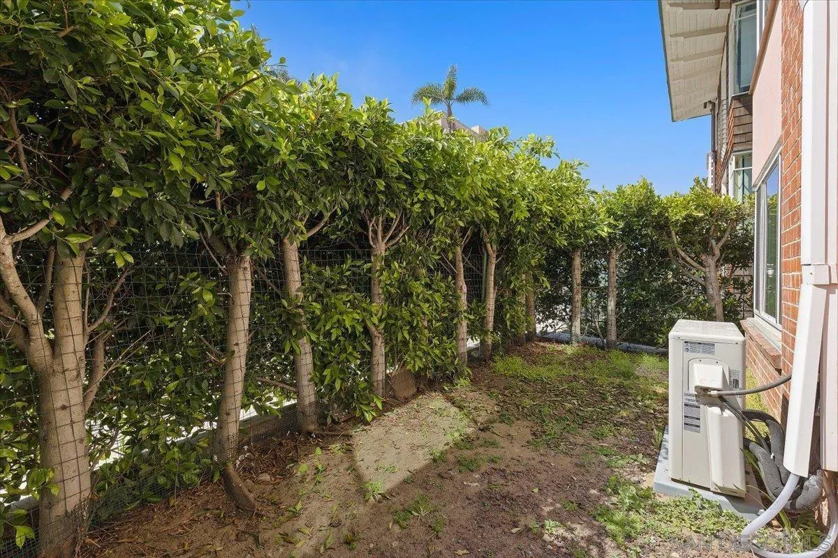 Photo #11: 250045286 Listing: Photo #11