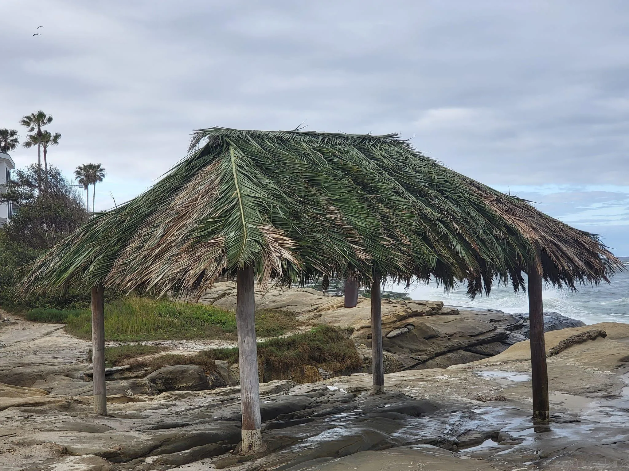 Photo #36: 250045287 Listing: Photo #36