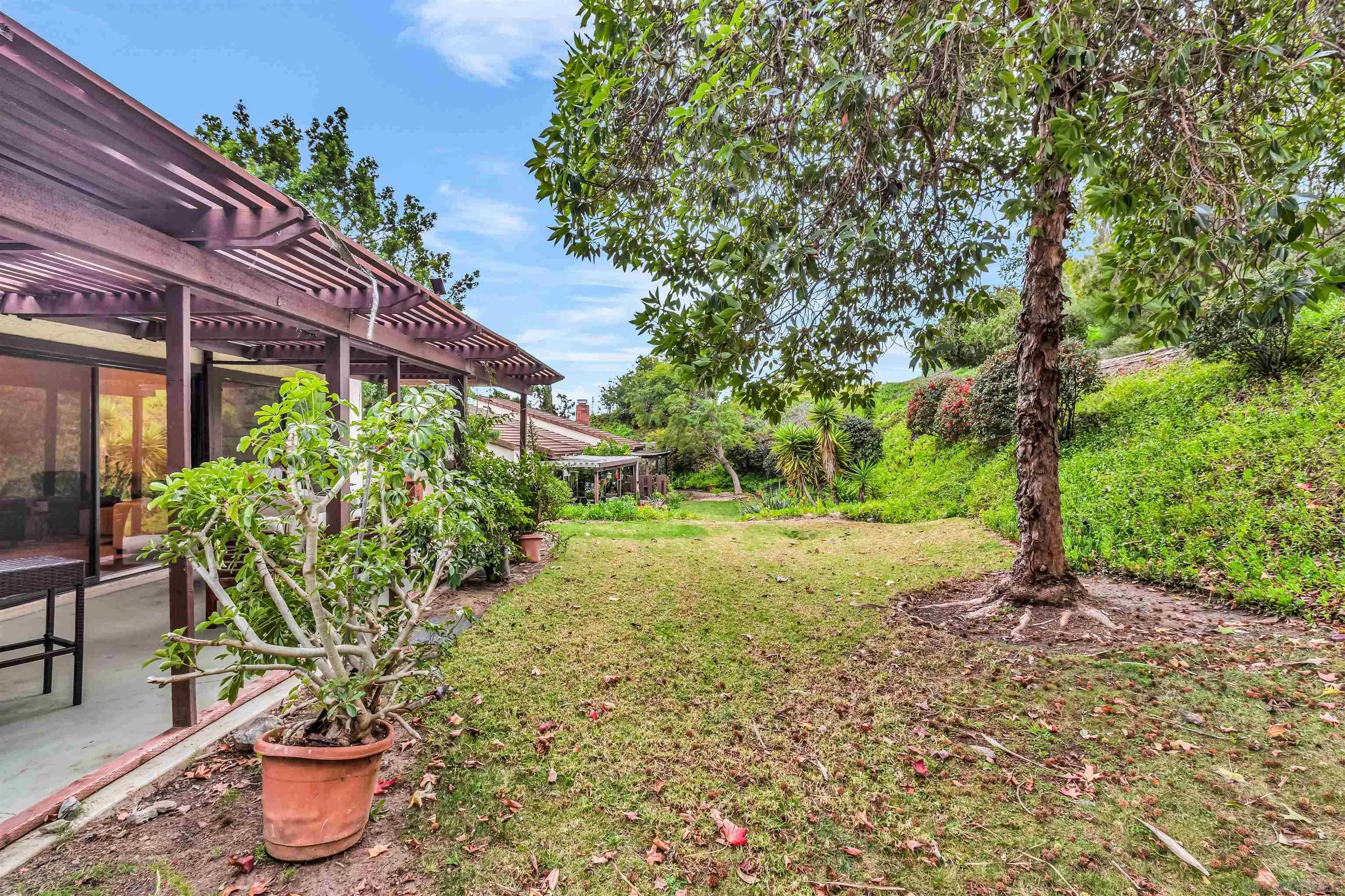 Photo #34: 250045299 Listing: Photo #34