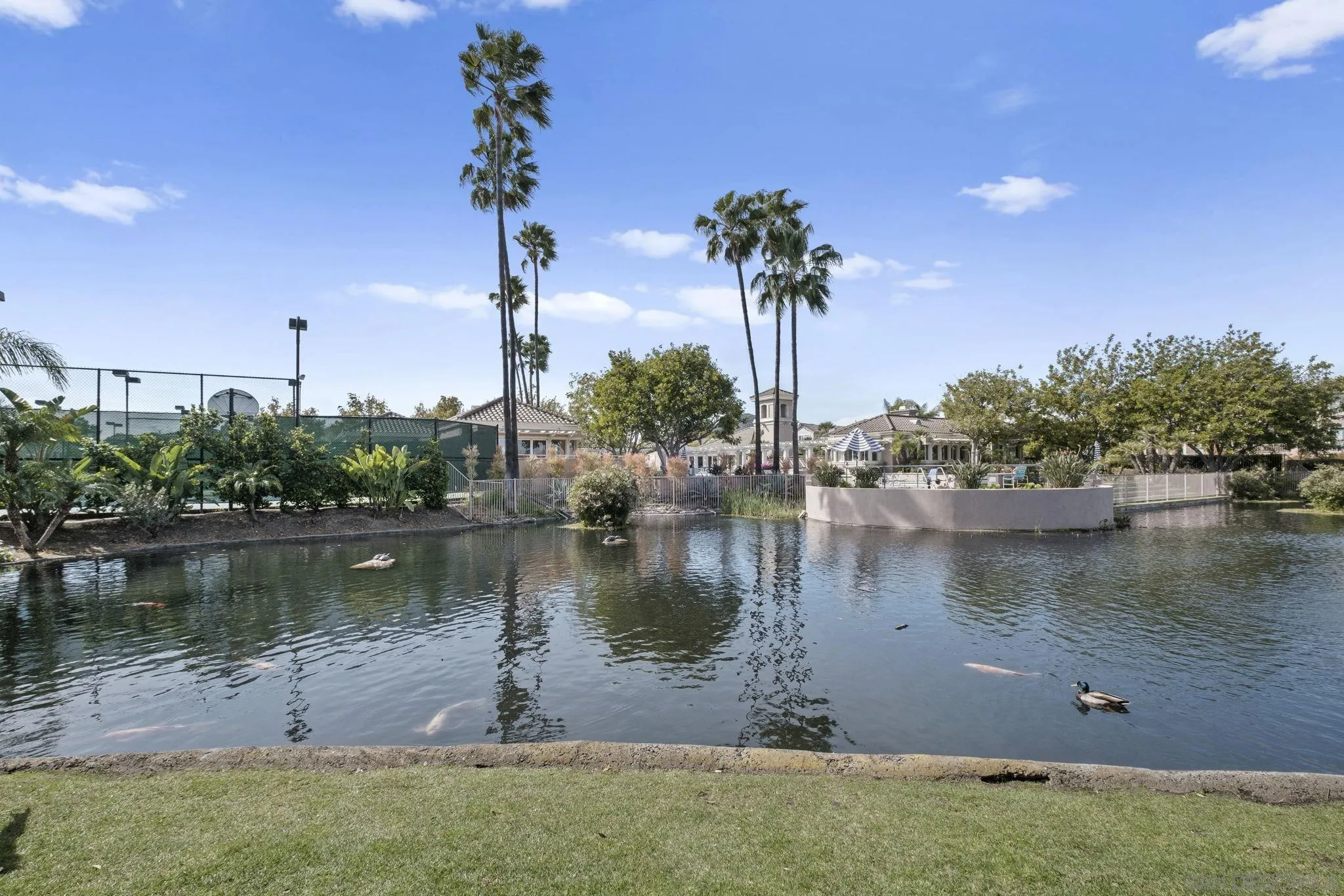 Photo #26: 250045337 Listing: Photo #26