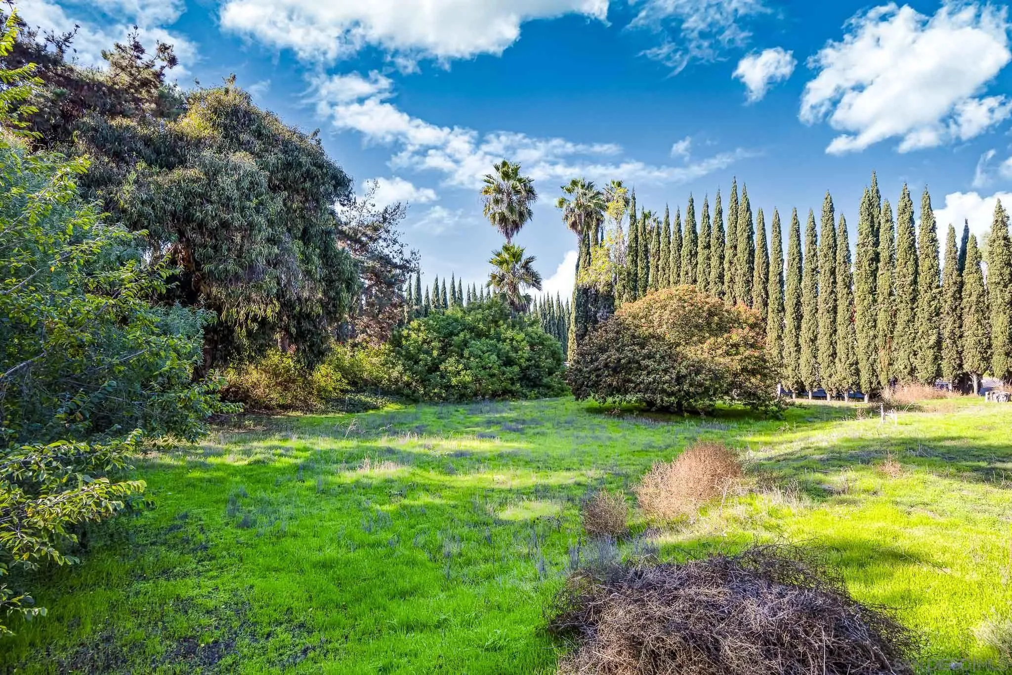 https://cdn.realtyfeed.com/cdn/127/250045392/387525e8954467d2206583ba2523b141.webp