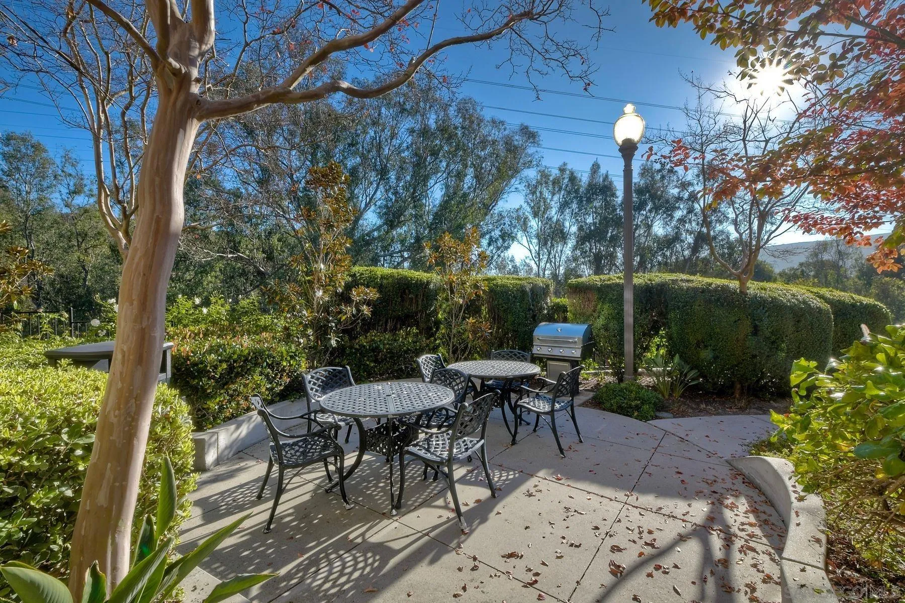 Photo #37: 250045429 Listing: Photo #37