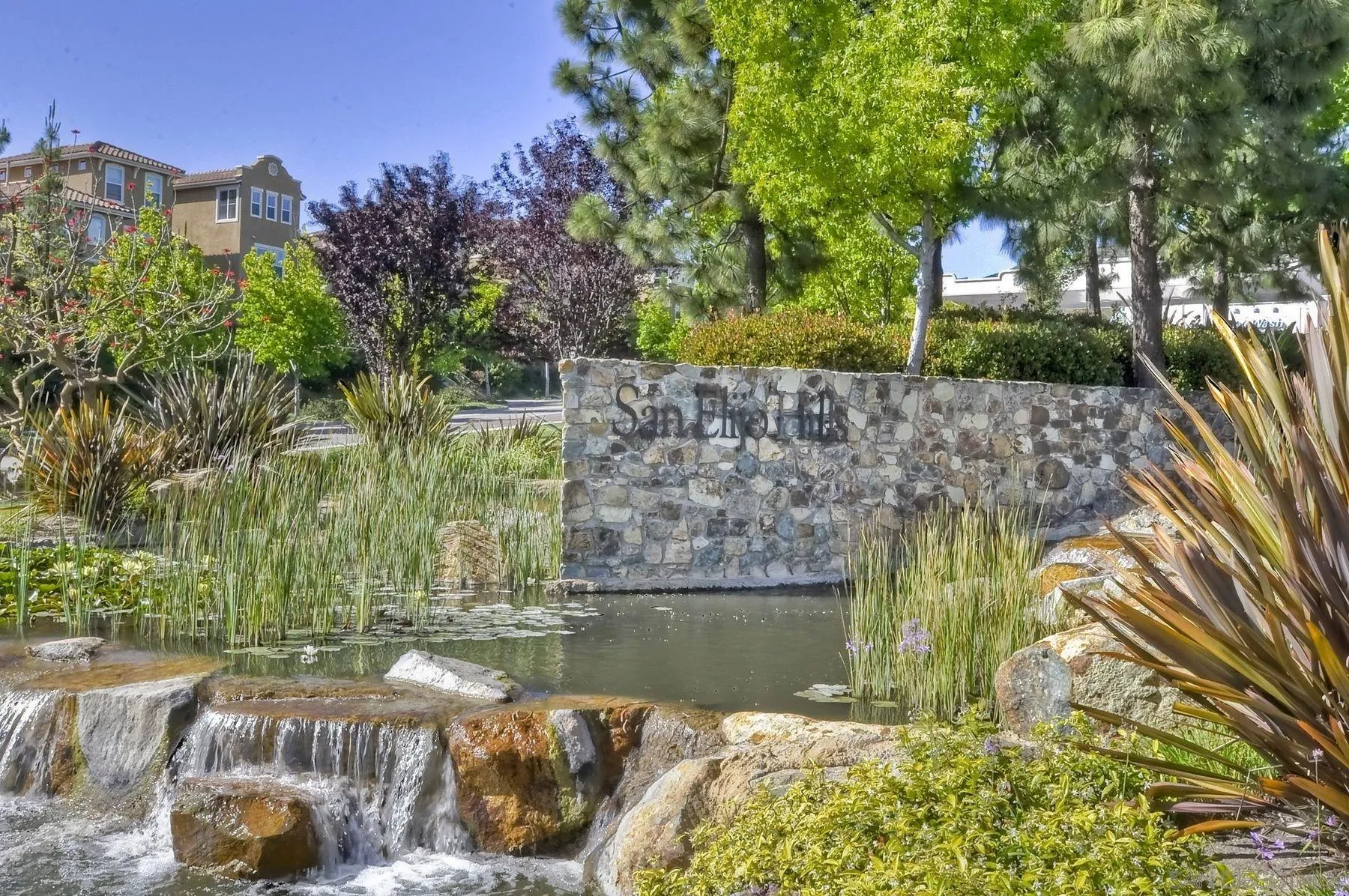 Photo #42: 250045429 Listing: Photo #42