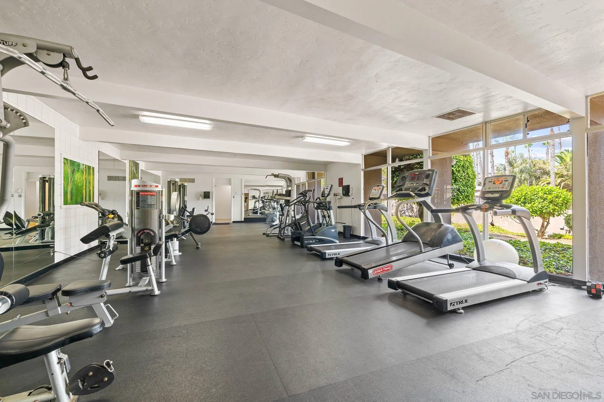 Photo #43: 250045465 Listing: Photo #43