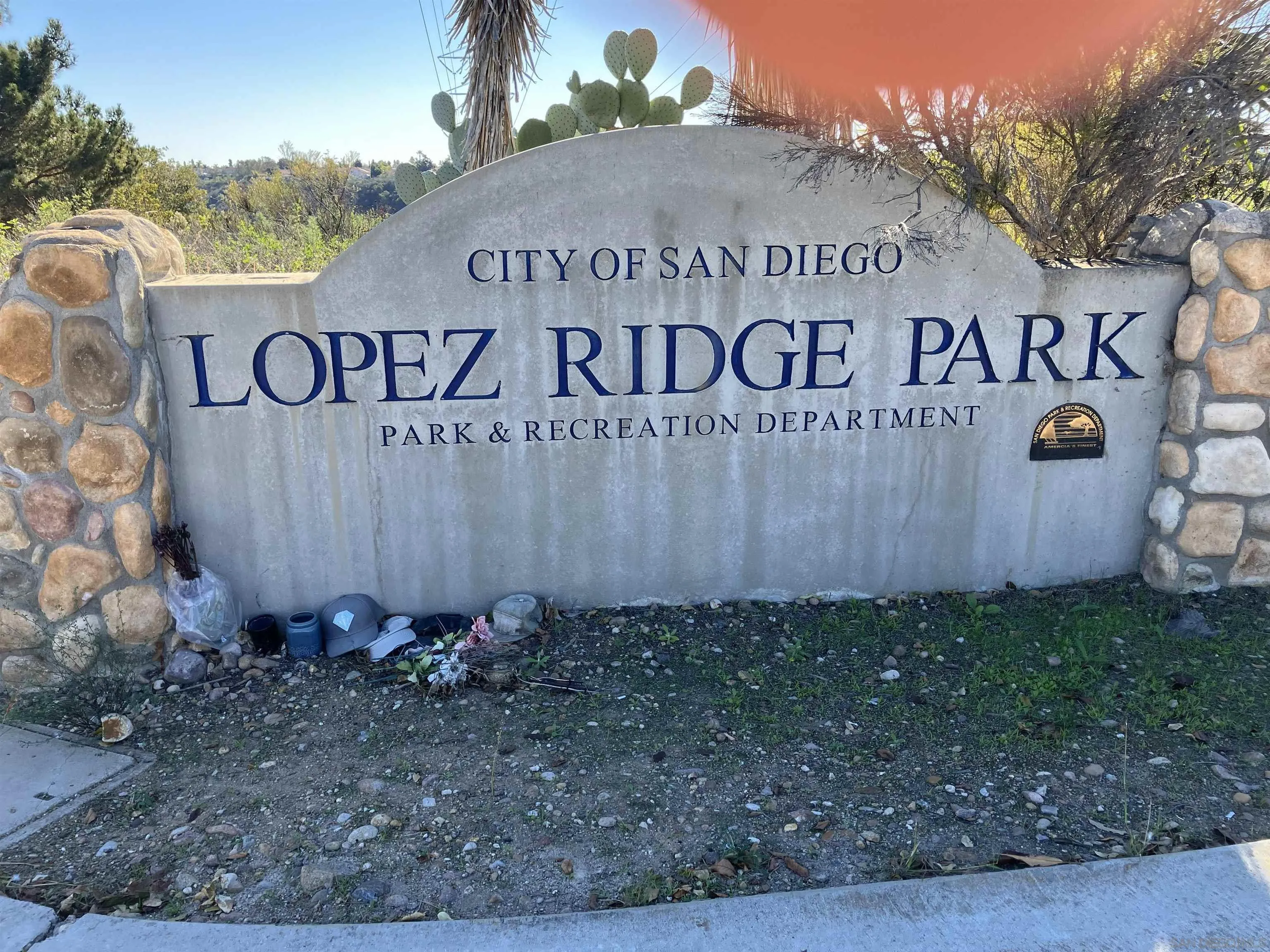 Photo #32: 250045677 Listing: Photo #32