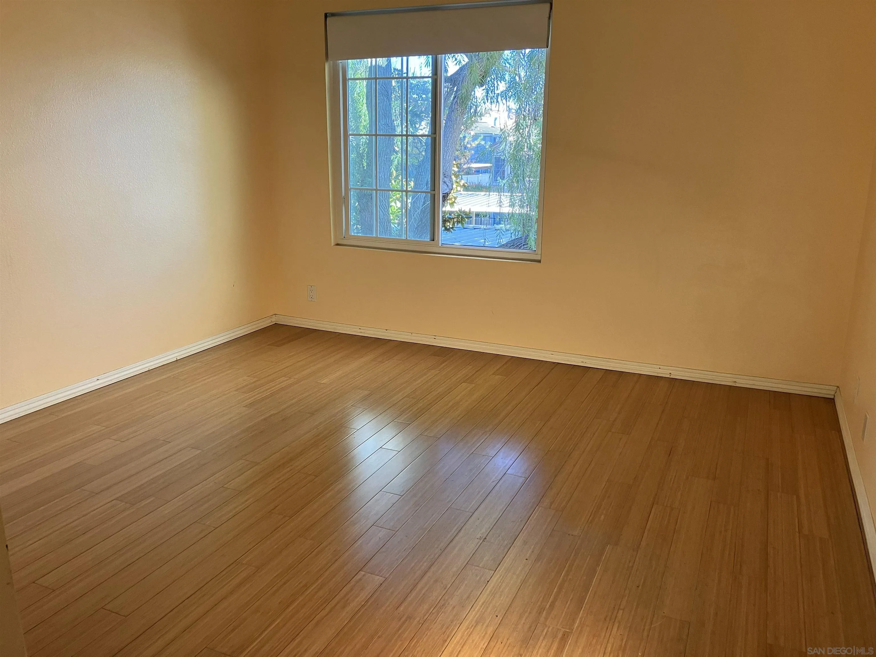 Photo #10: 250045677 Listing: Photo #10