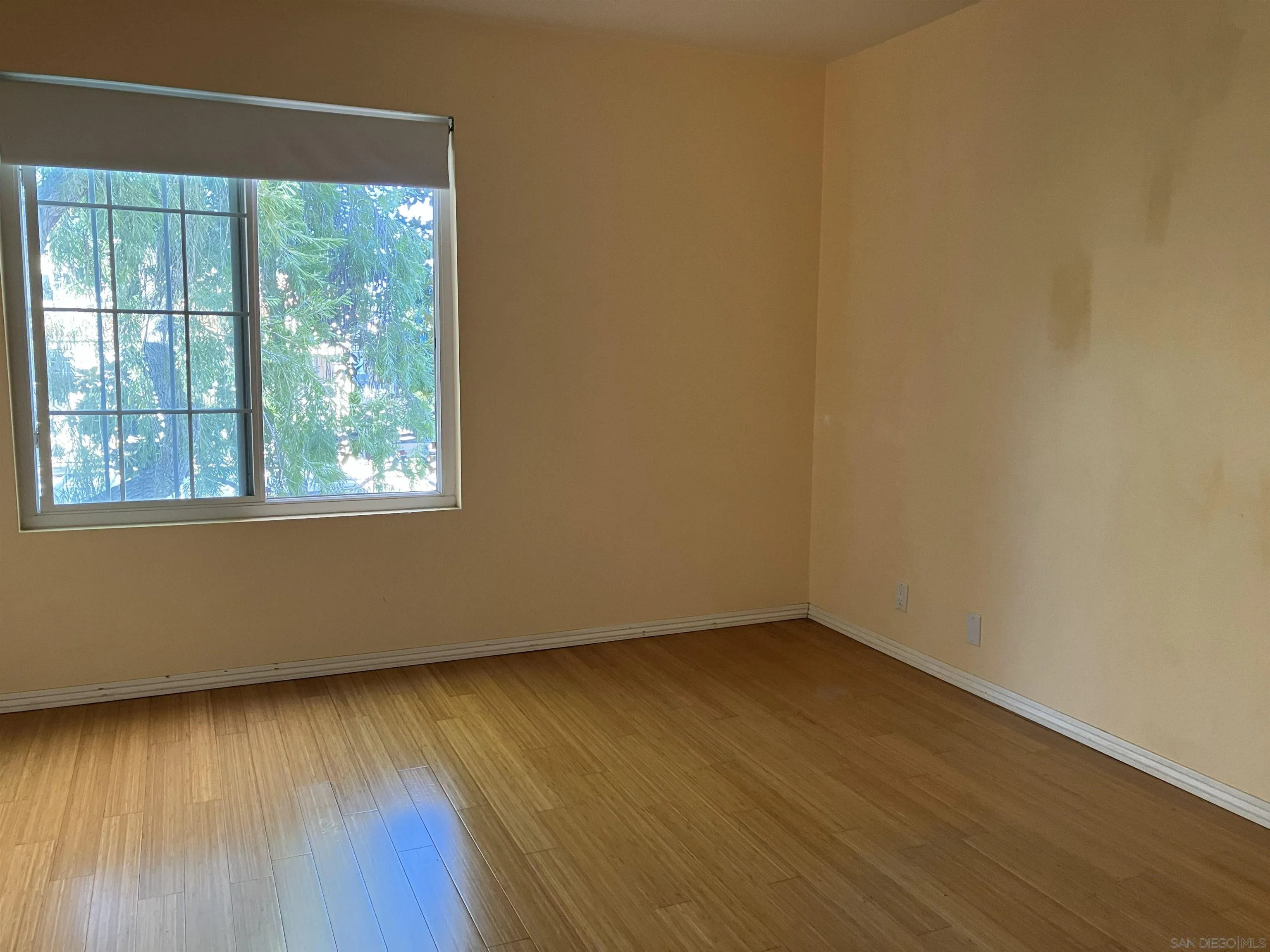 Photo #11: 250045677 Listing: Photo #11