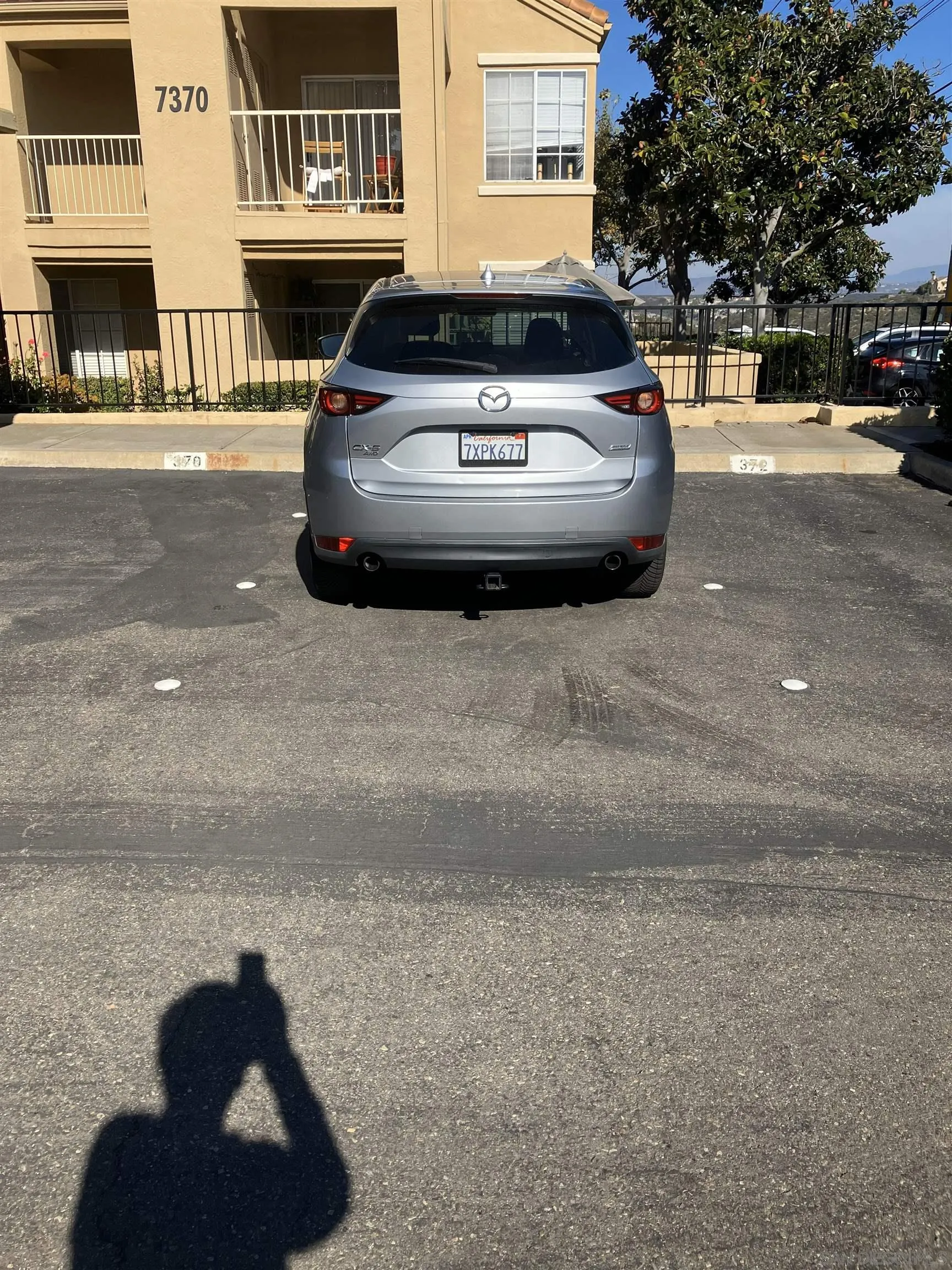 Photo #31: 250045677 Listing: Photo #31