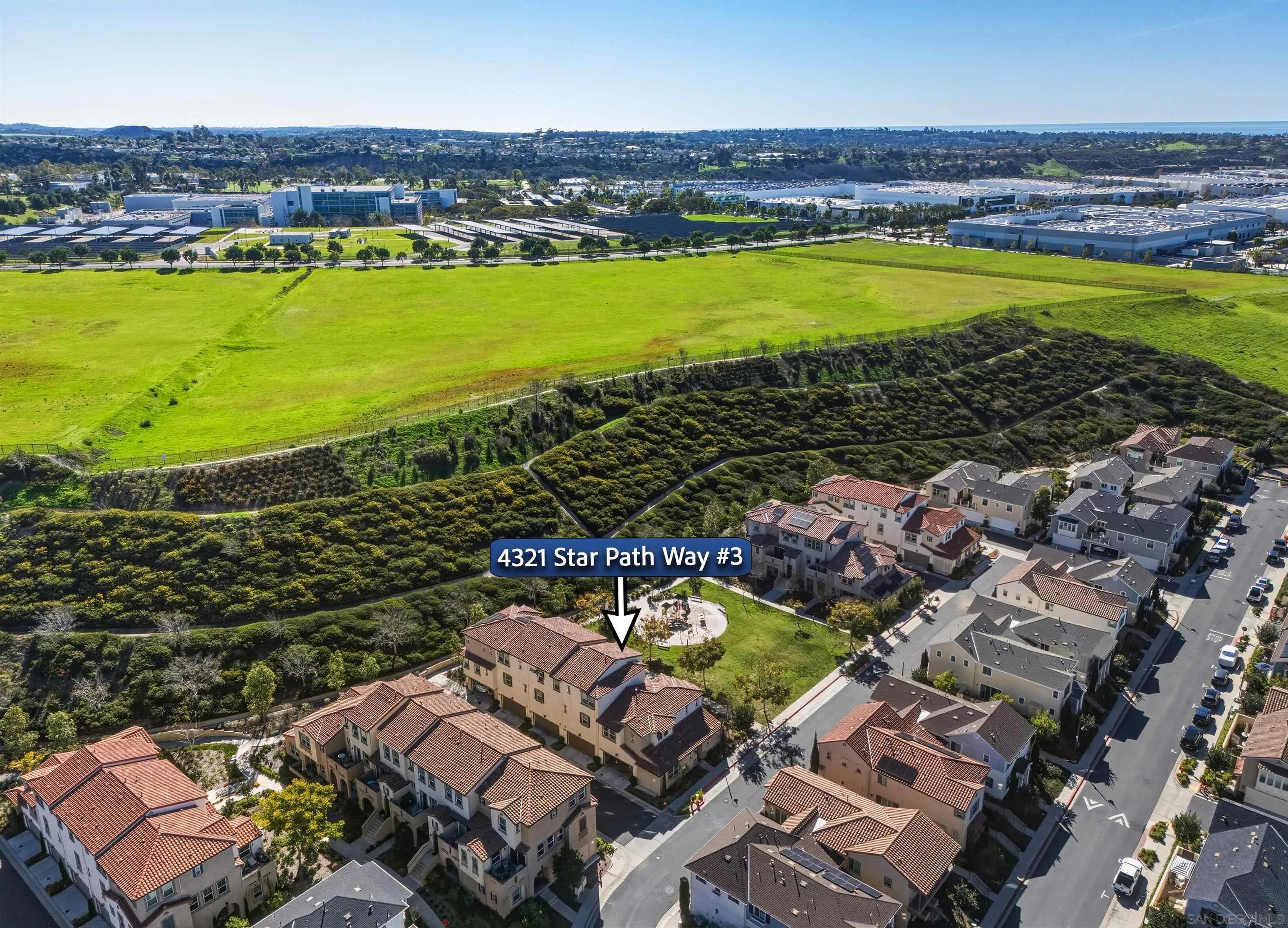 Photo #42: 250045846 Listing: Photo #42