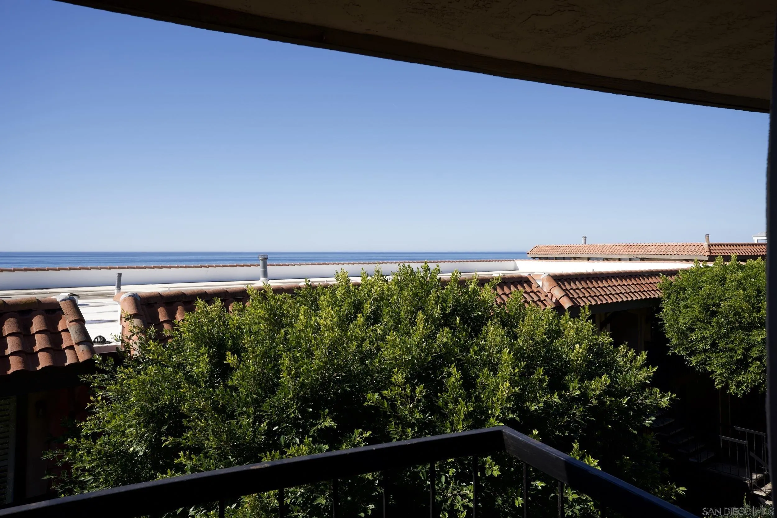 Photo #64: 250045859 Listing: Photo #64