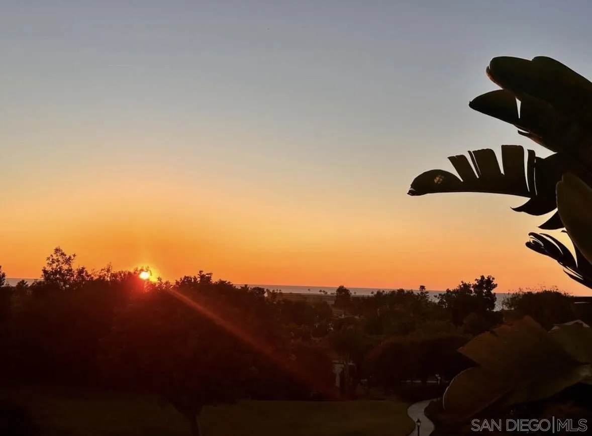 Photo #35: 250045880 Listing: Photo #35