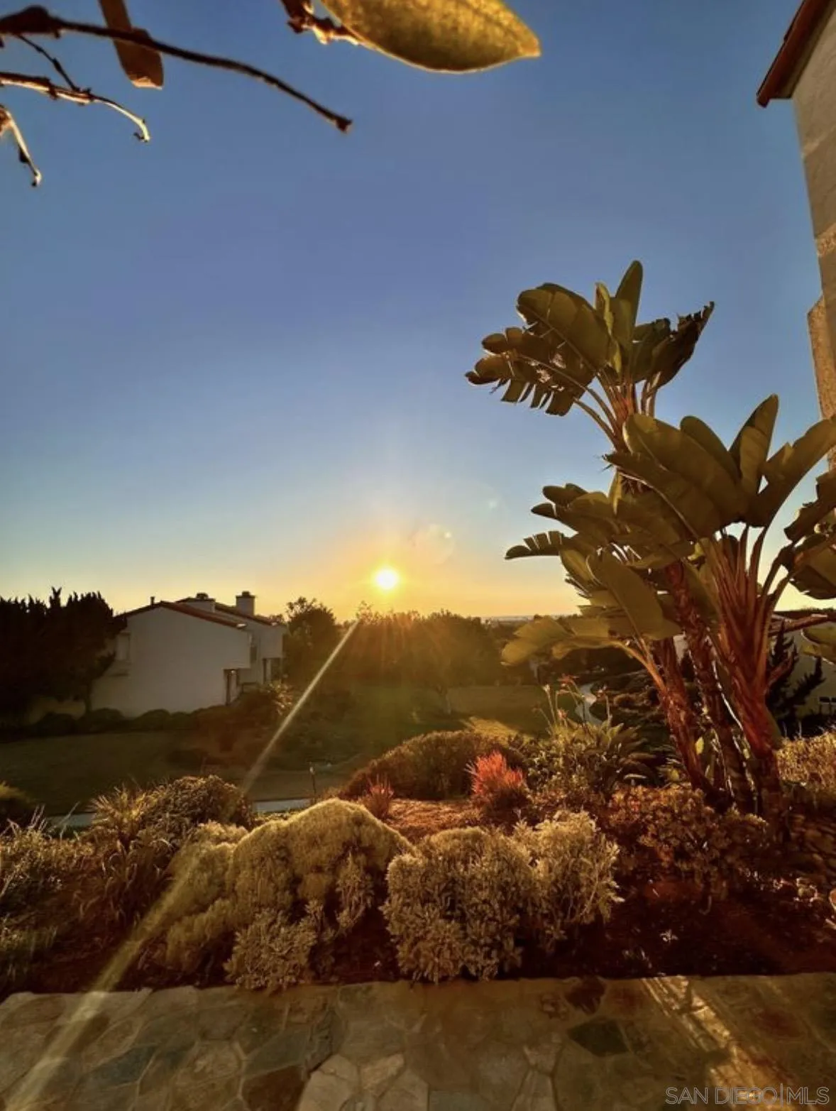 Photo #34: 250045880 Listing: Photo #34