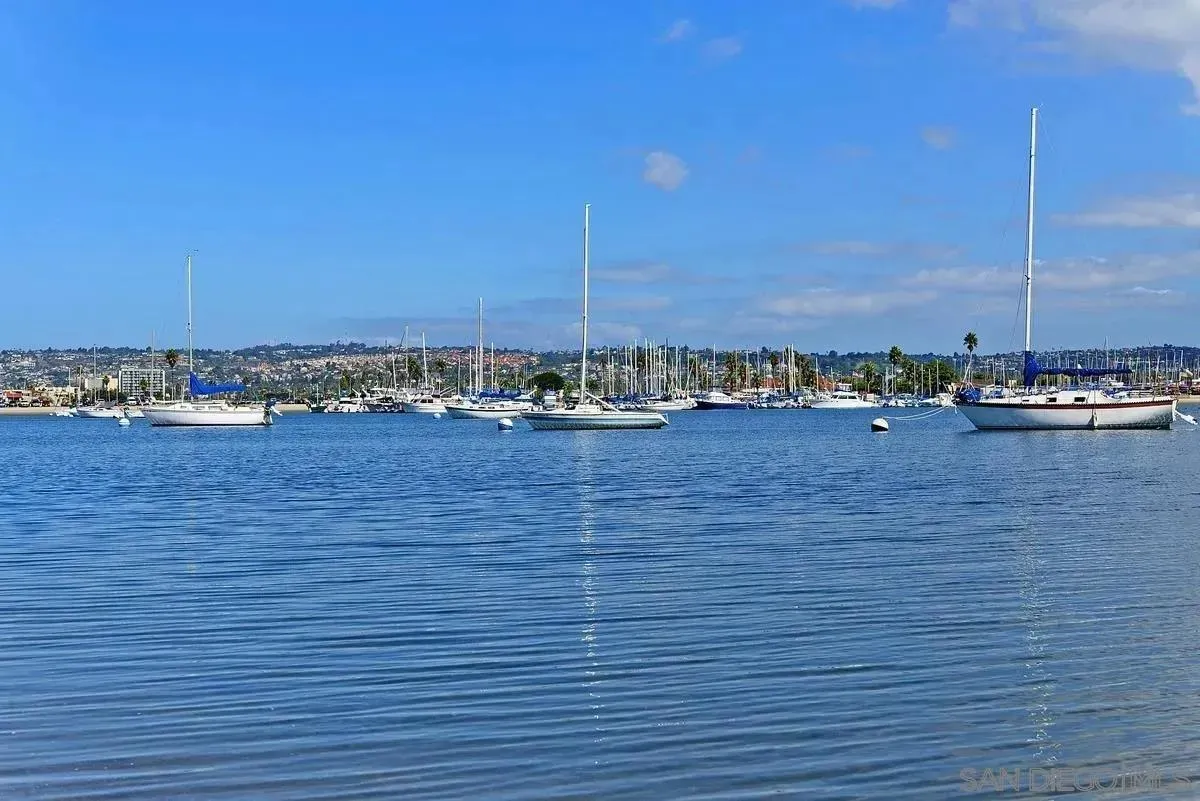 Photo #32: 250046035 Listing: Photo #32