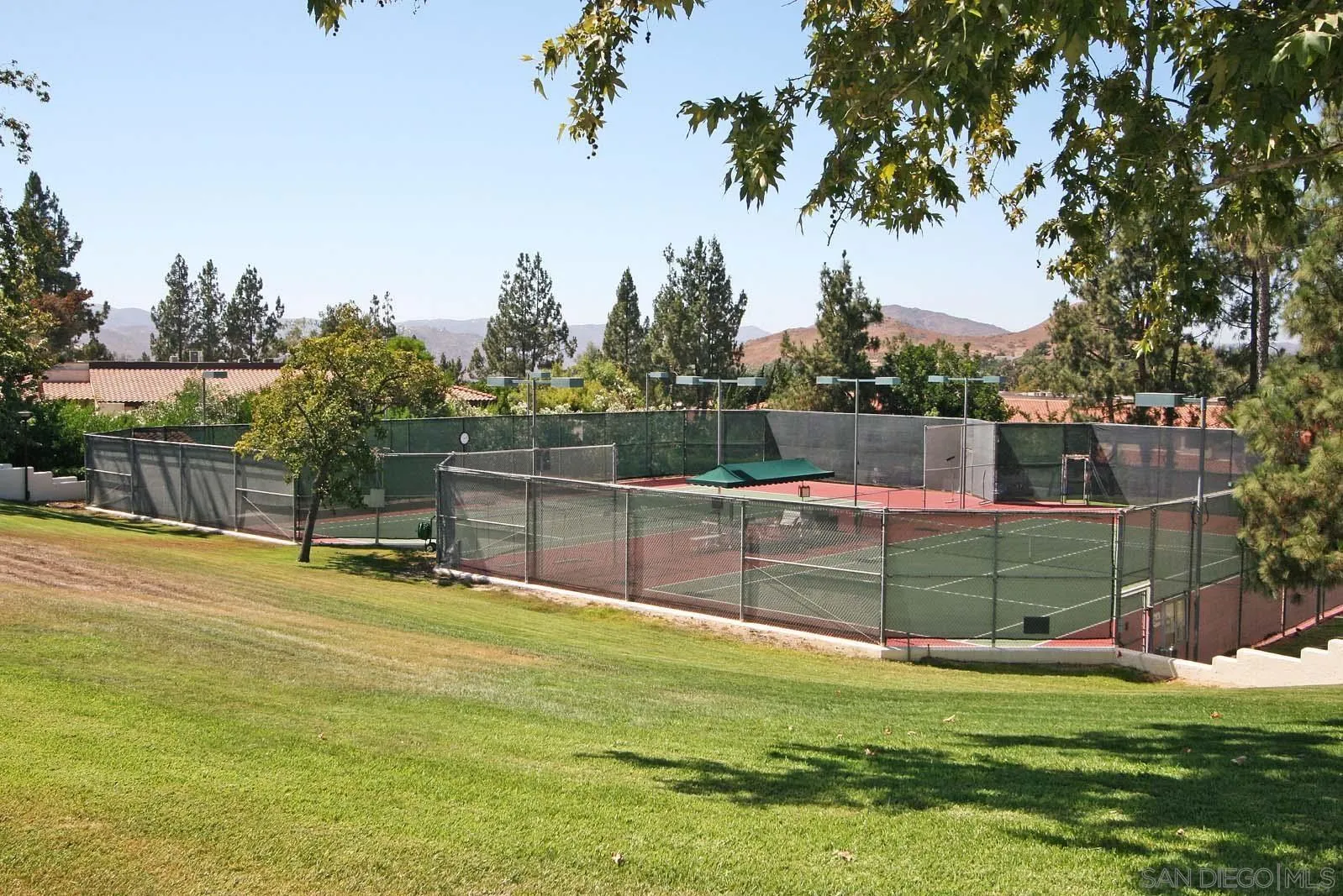 Photo #37: 250046046 Listing: Photo #37