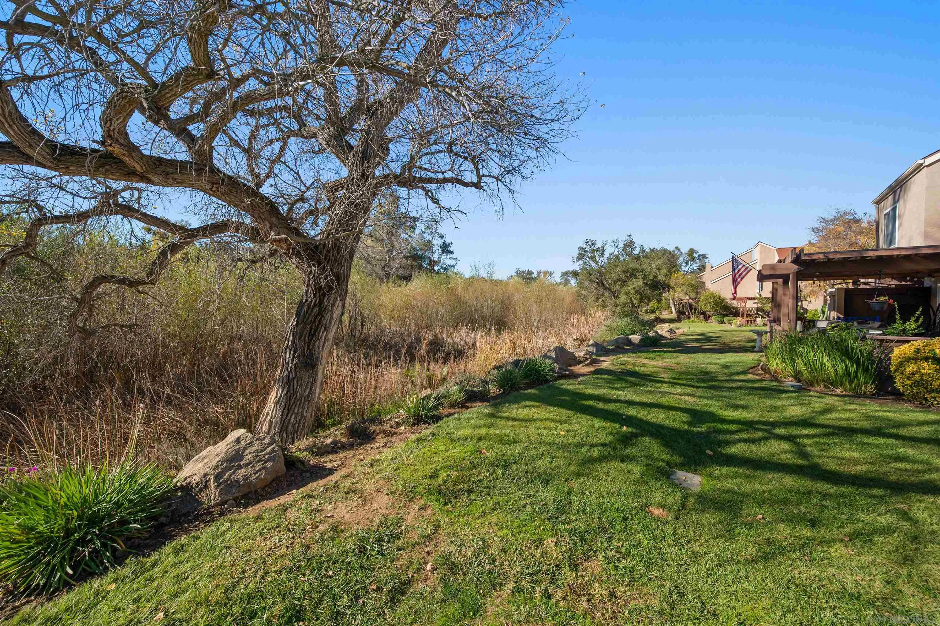 Photo #49: 250046052 Listing: Photo #49