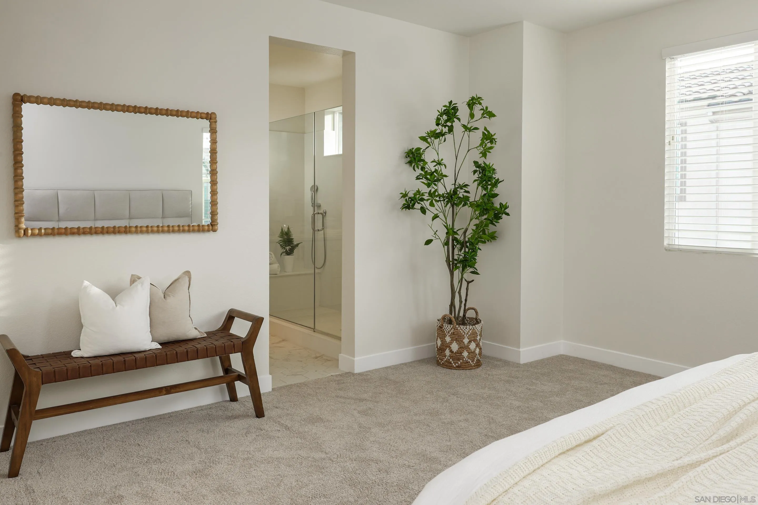 Photo #47: 250046144 Listing: Photo #47