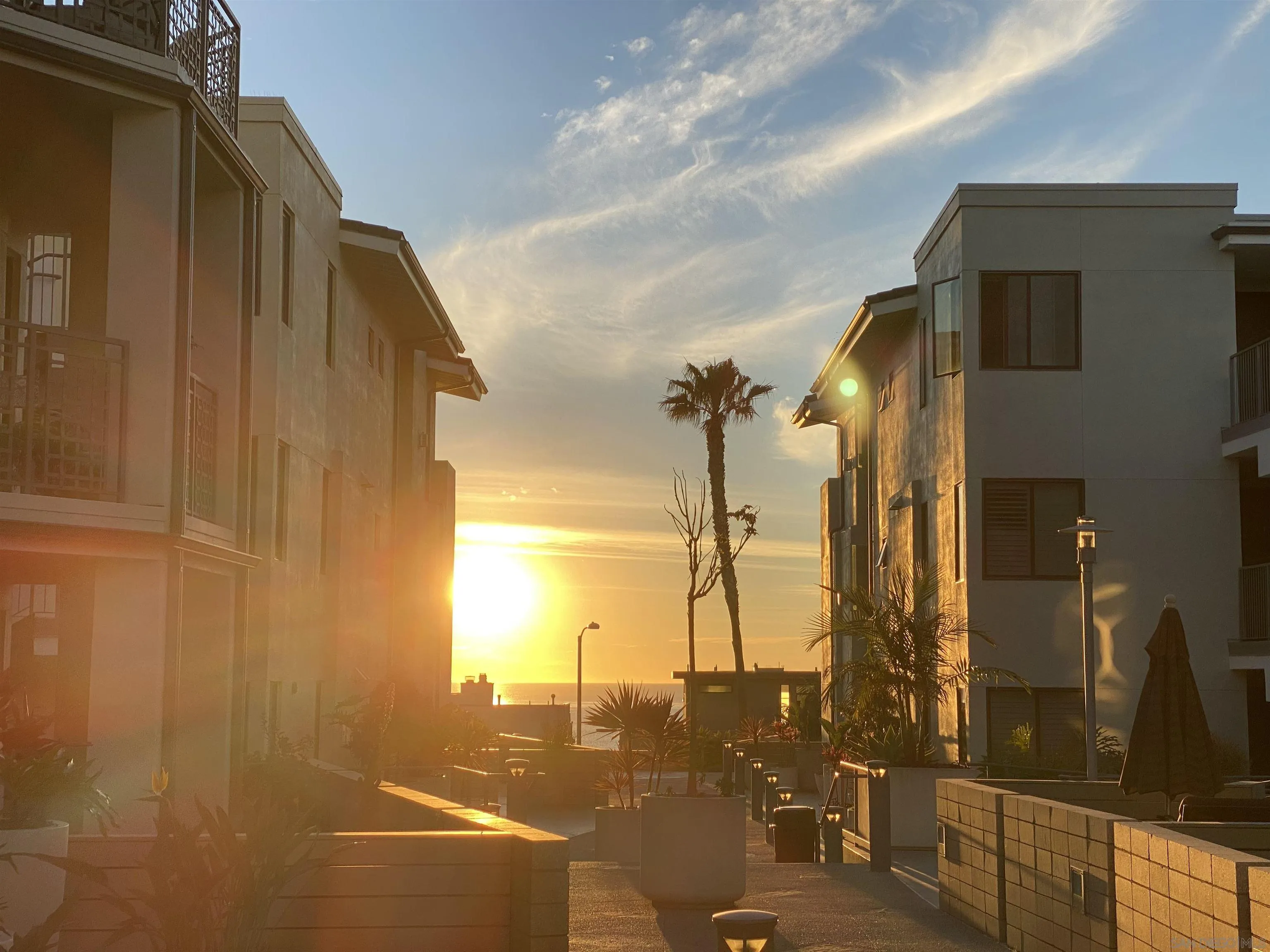 Photo #32: 250046182 Listing: Photo #32