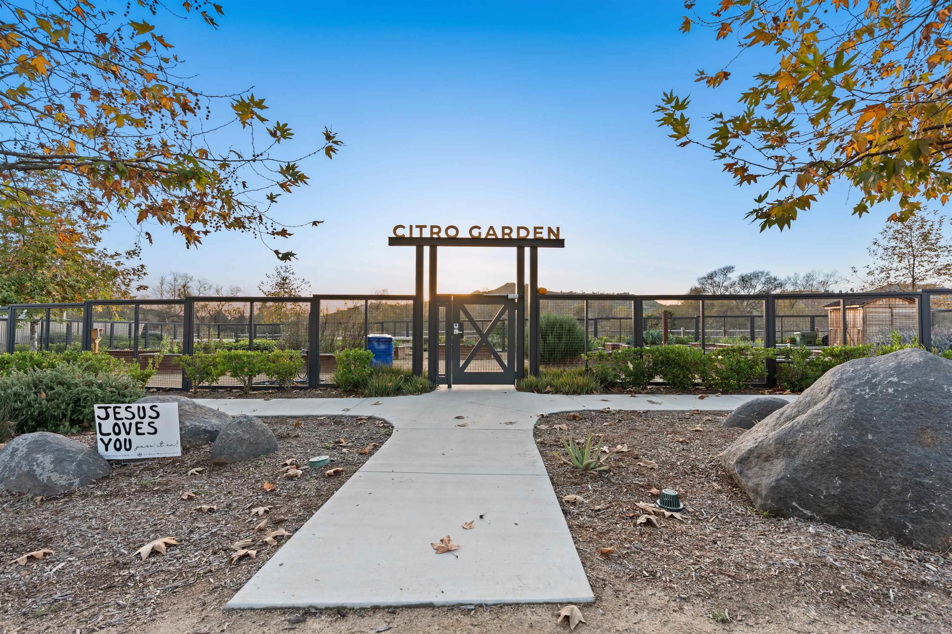 Photo #46: 250046205 Listing: Photo #46